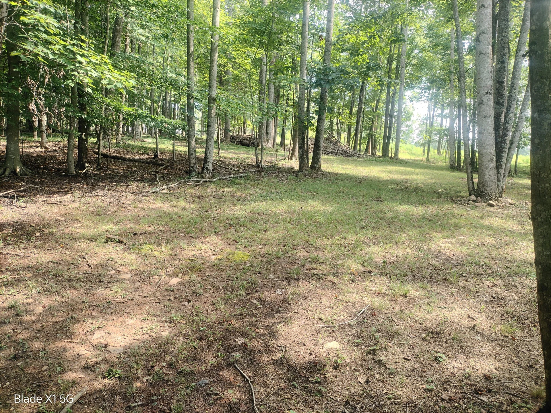 Lot 22 Jefferson Dock RD - Photo 12