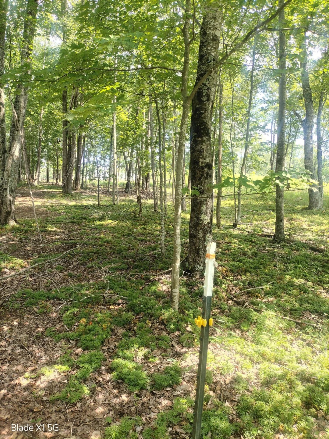 Lot 22 Jefferson Dock RD - Photo 13