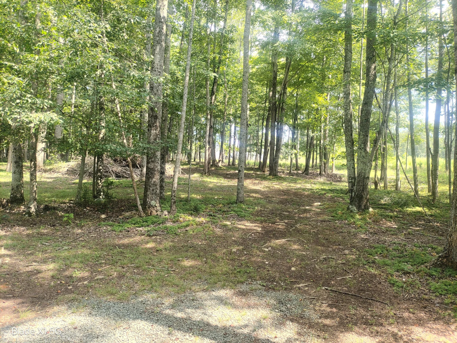 Lot 22 Jefferson Dock RD - Photo 14