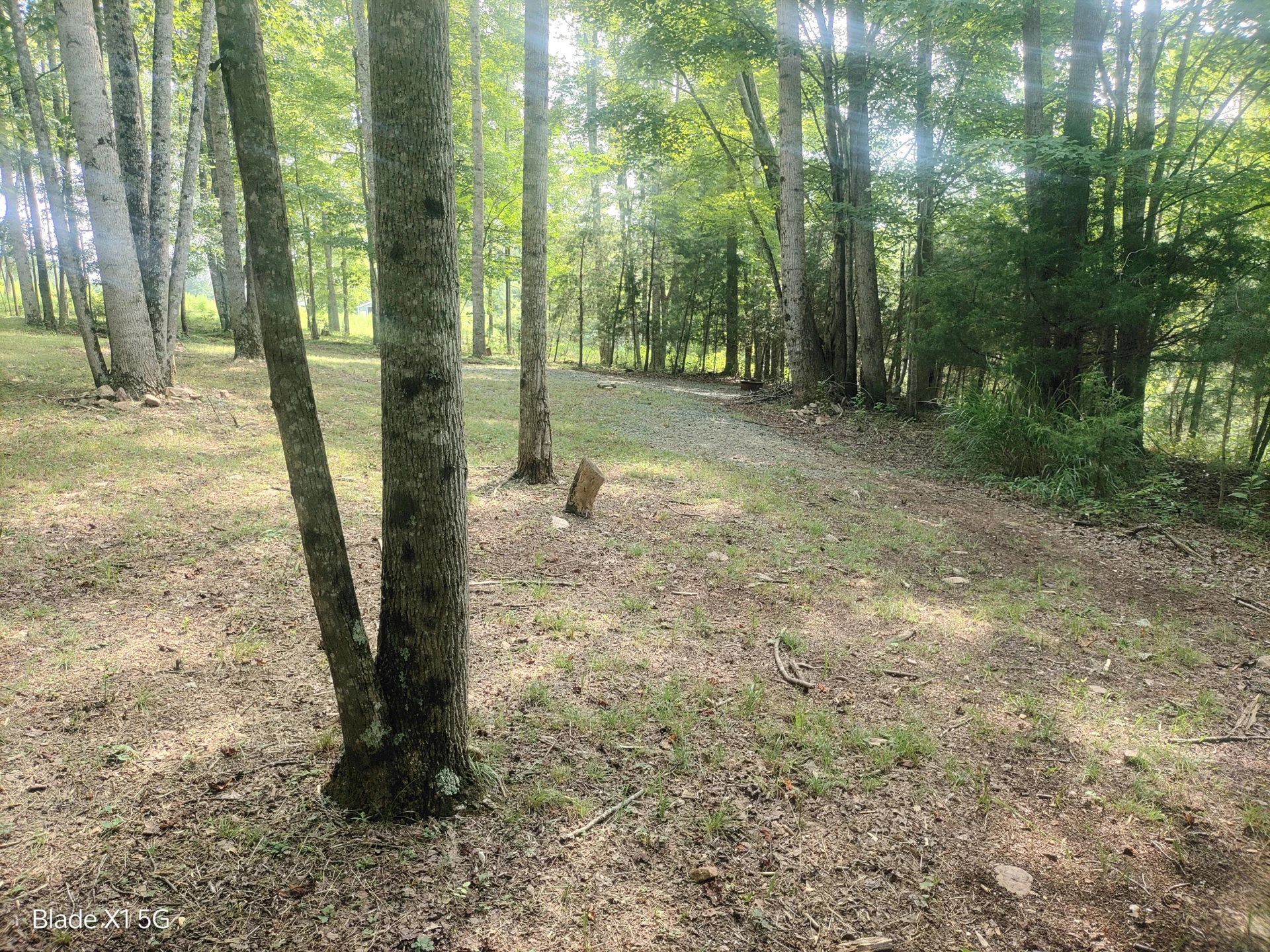 Lot 22 Jefferson Dock RD - Photo 15