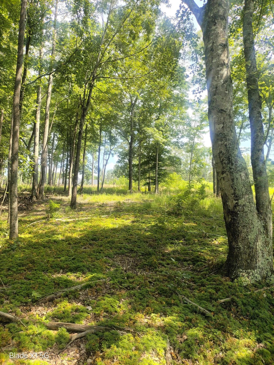 Lot 22 Jefferson Dock RD - Photo 16