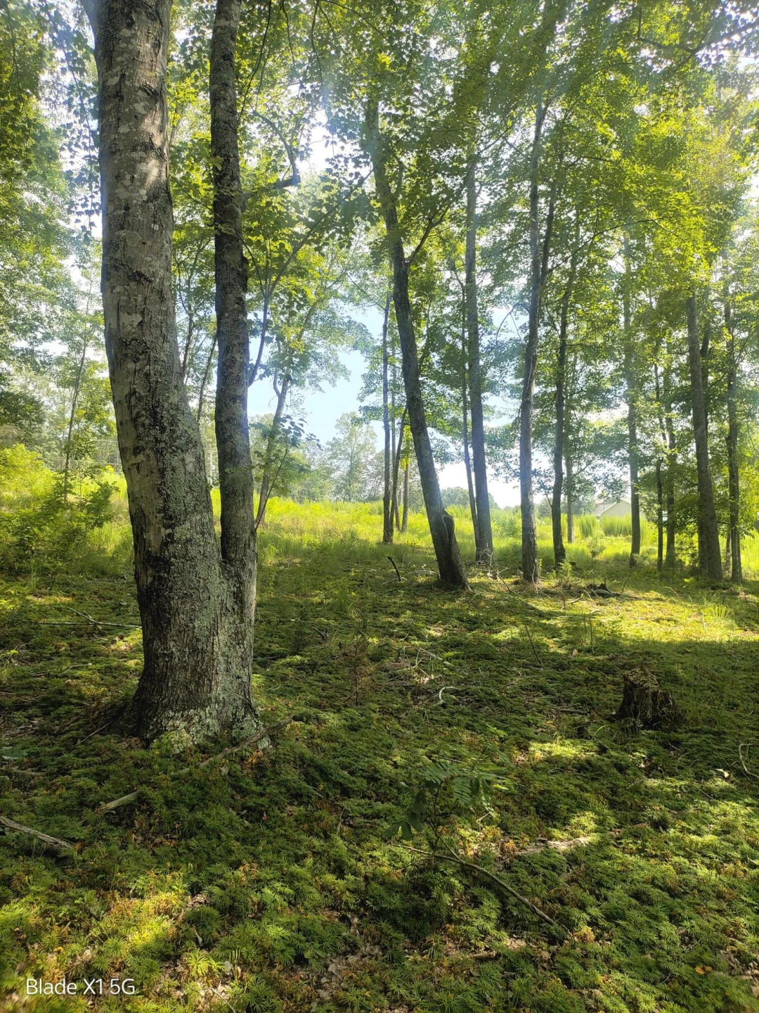 Lot 22 Jefferson Dock RD - Photo 17