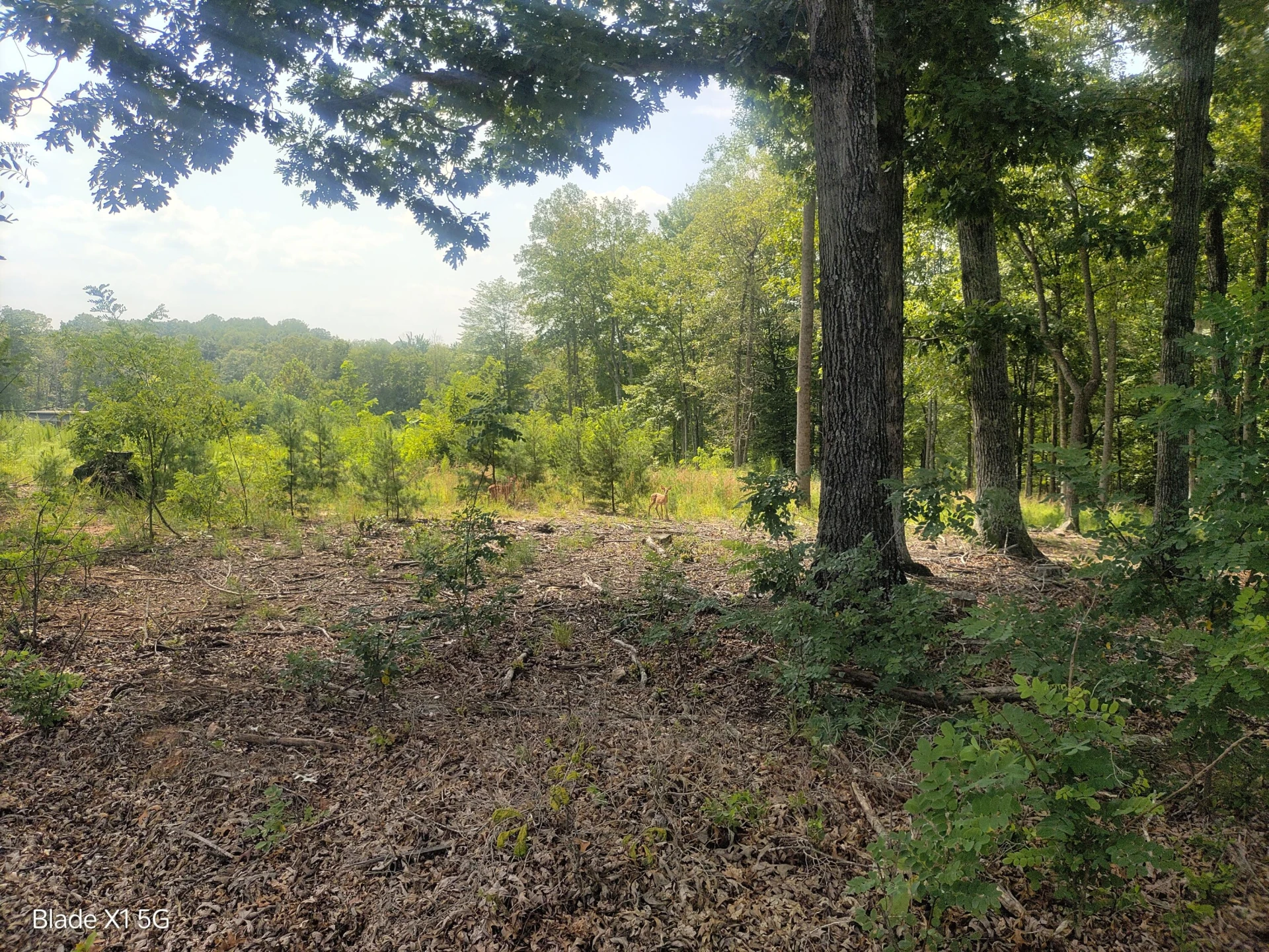 Lot 22 Jefferson Dock RD - Photo 18