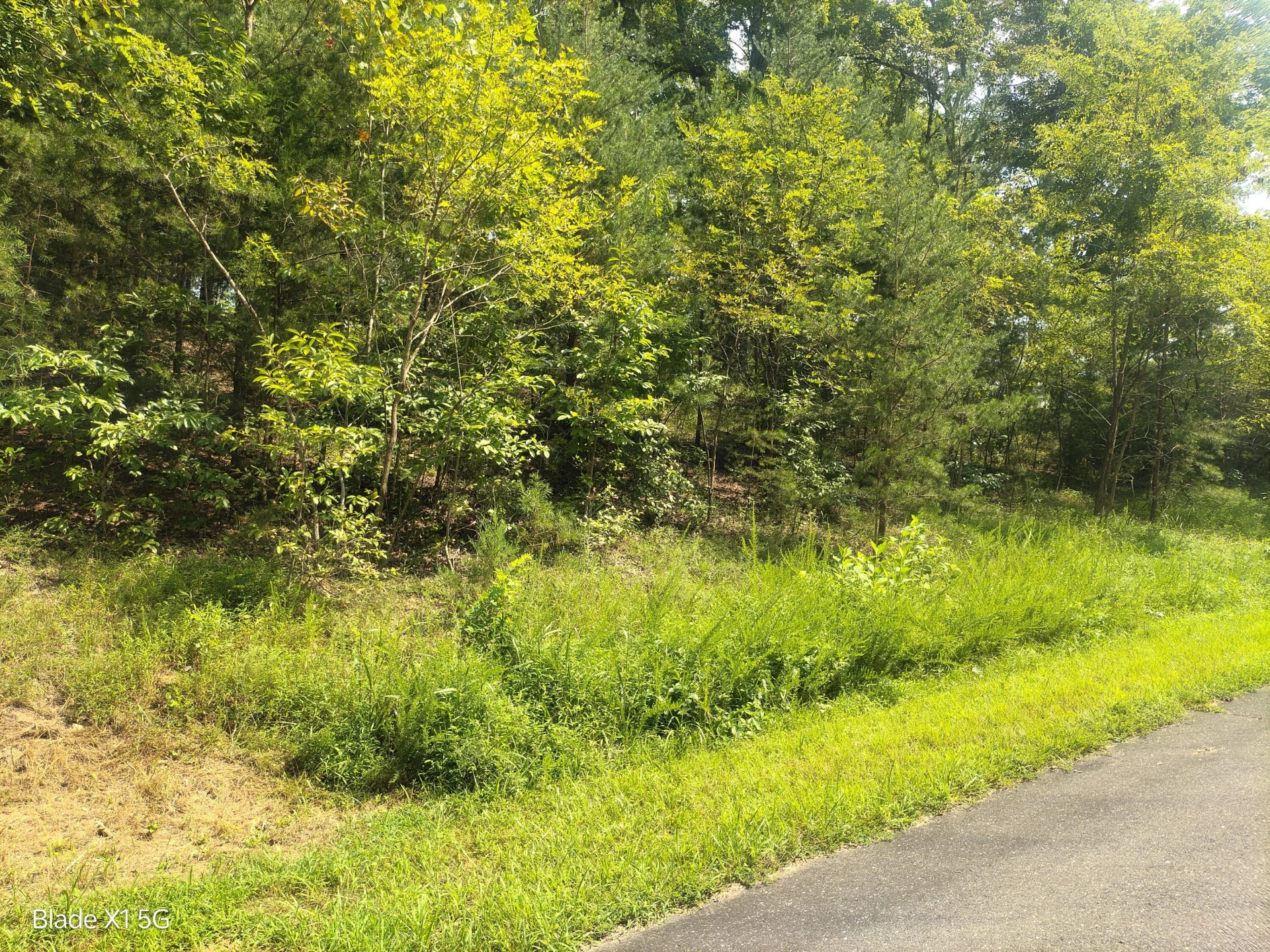 Lot 22 Jefferson Dock RD - Photo 20