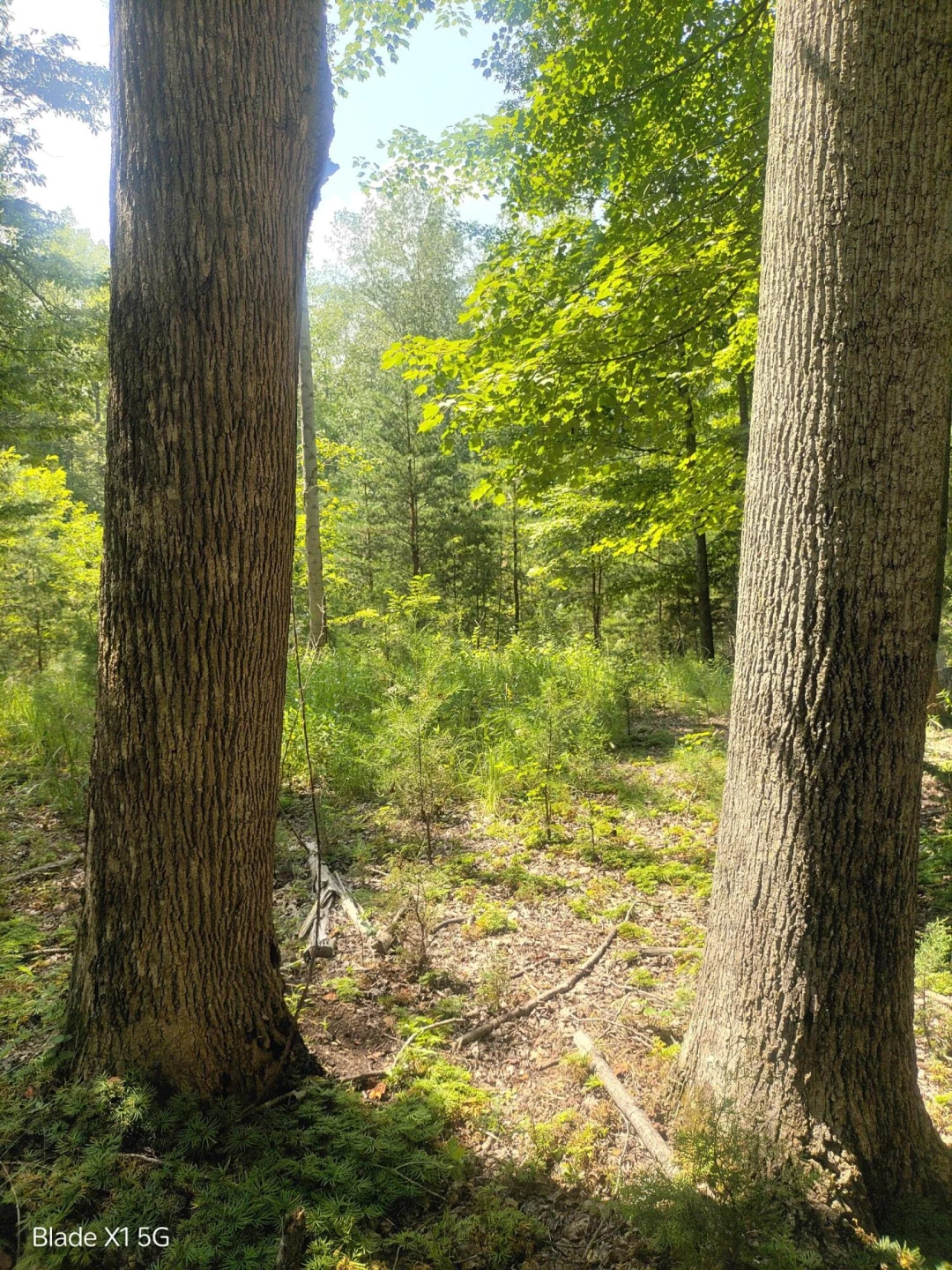 Lot 22 Jefferson Dock RD - Photo 9
