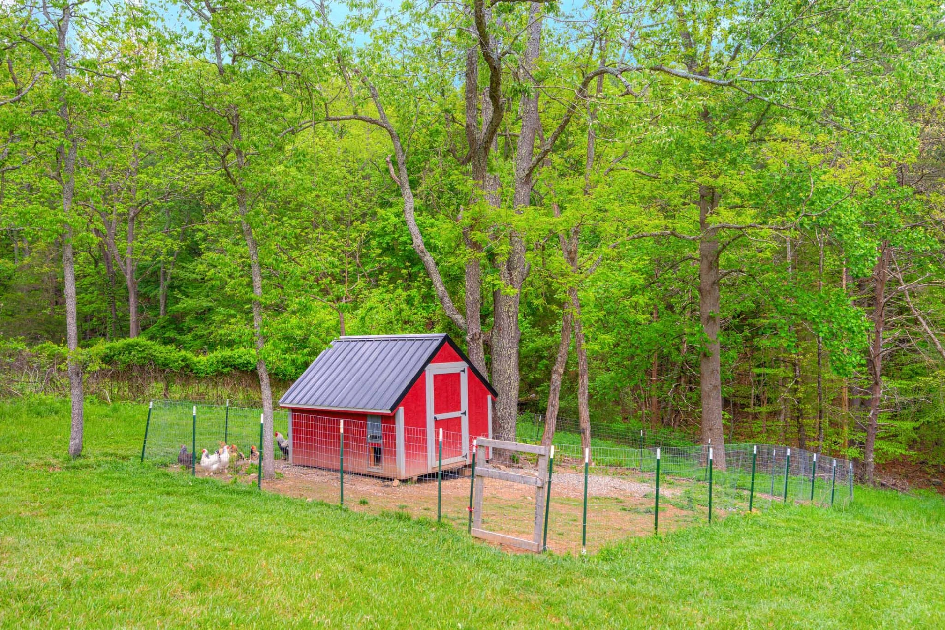 3631 Mount Tabor RD - Photo 56