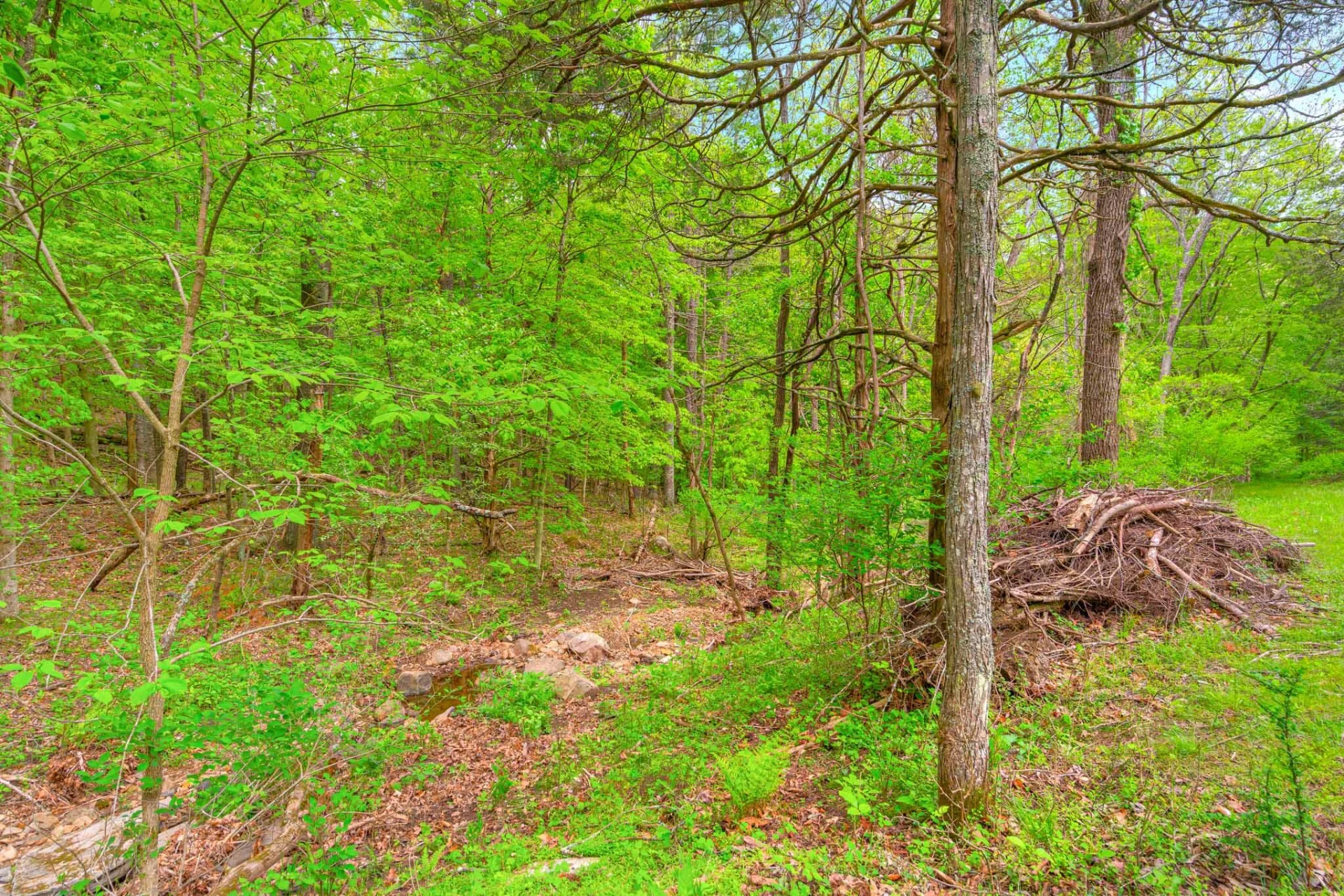 3631 Mount Tabor RD - Photo 58