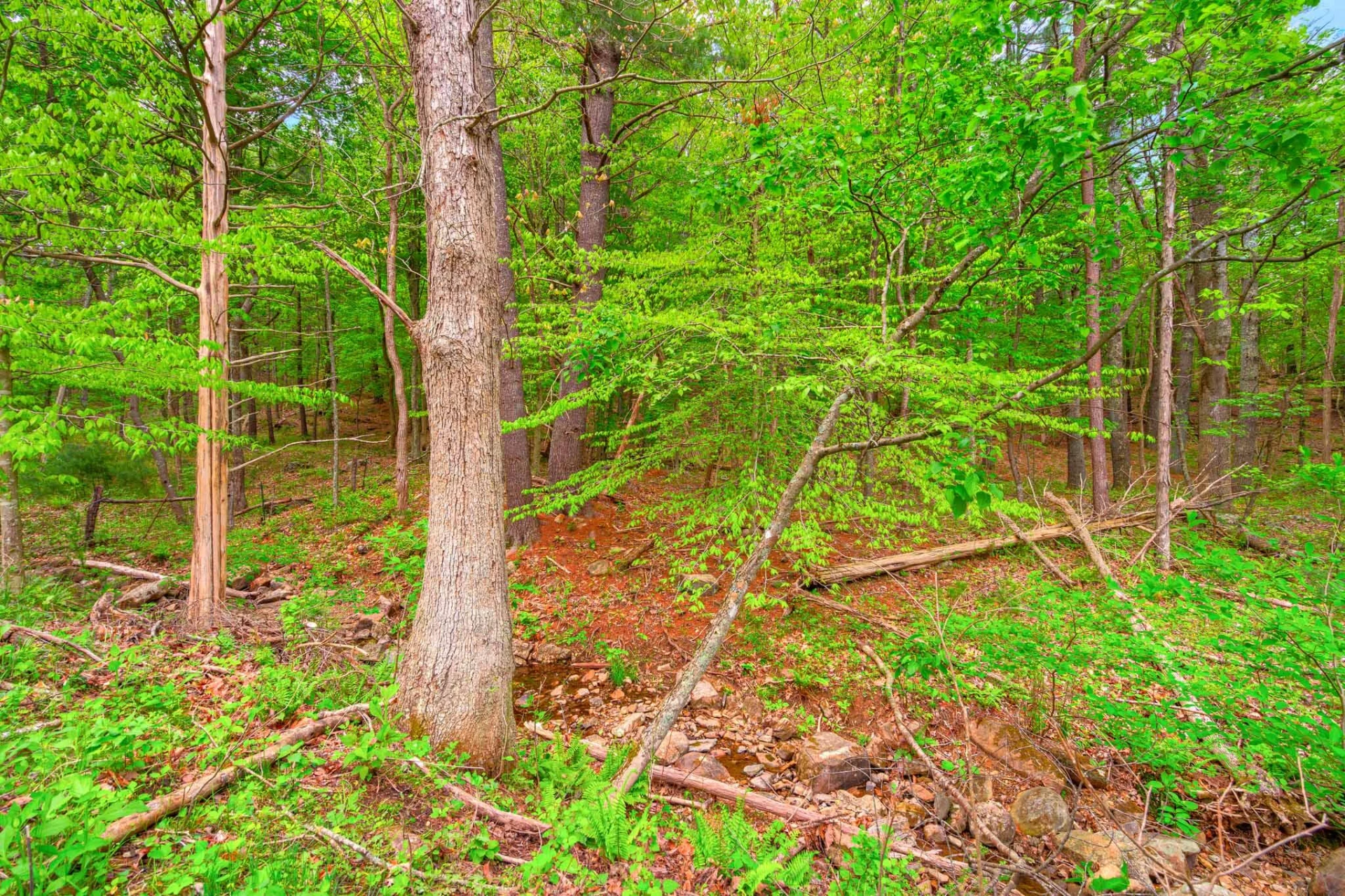 3631 Mount Tabor RD - Photo 59