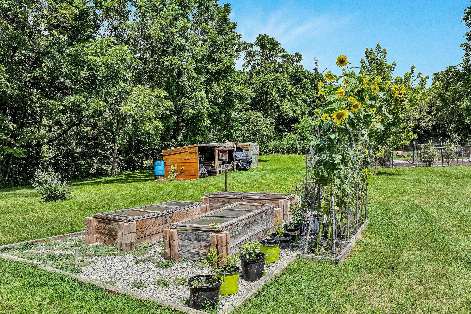 12931 Catawba RD - Photo 47
