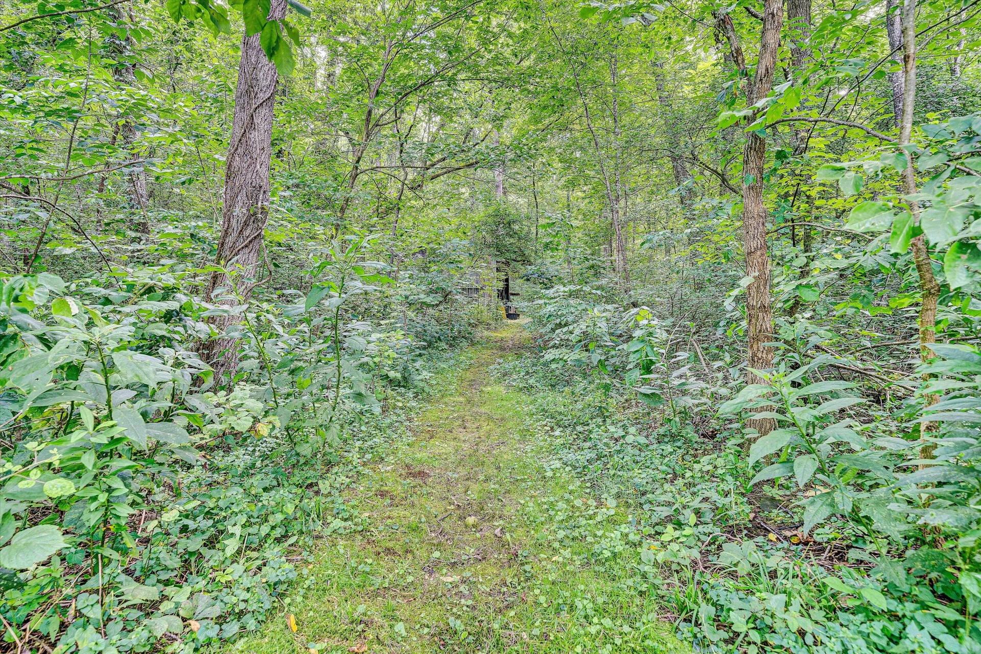 12931 Catawba RD - Photo 54