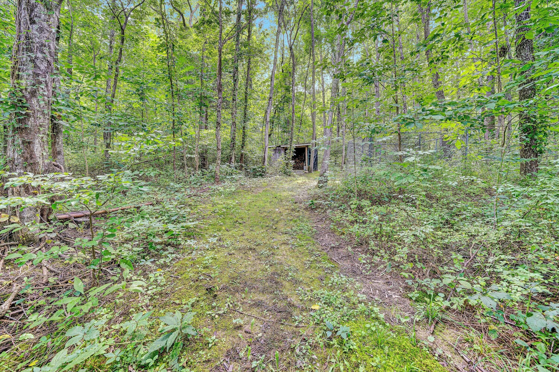 12931 Catawba RD - Photo 57