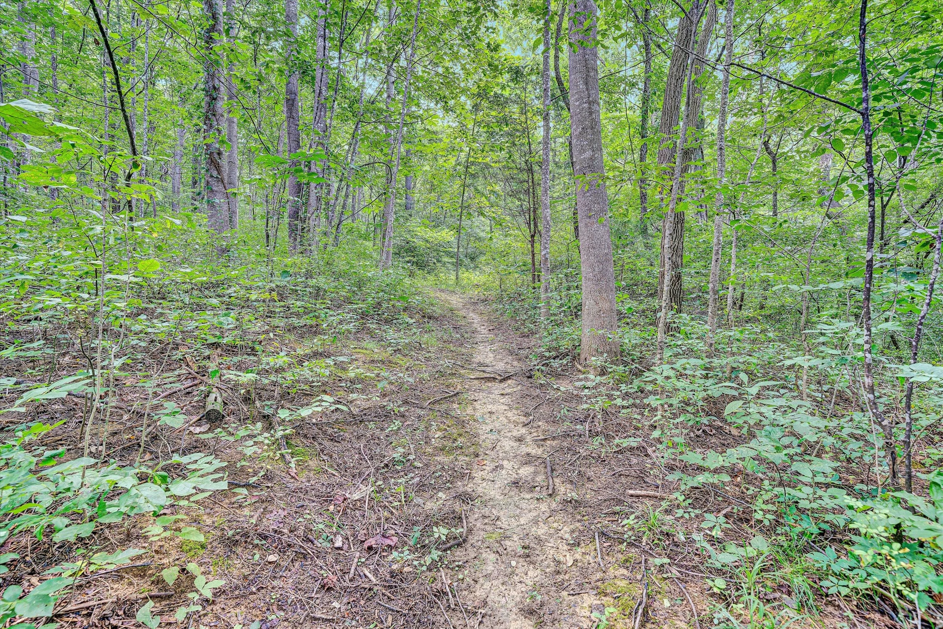 12931 Catawba RD - Photo 59