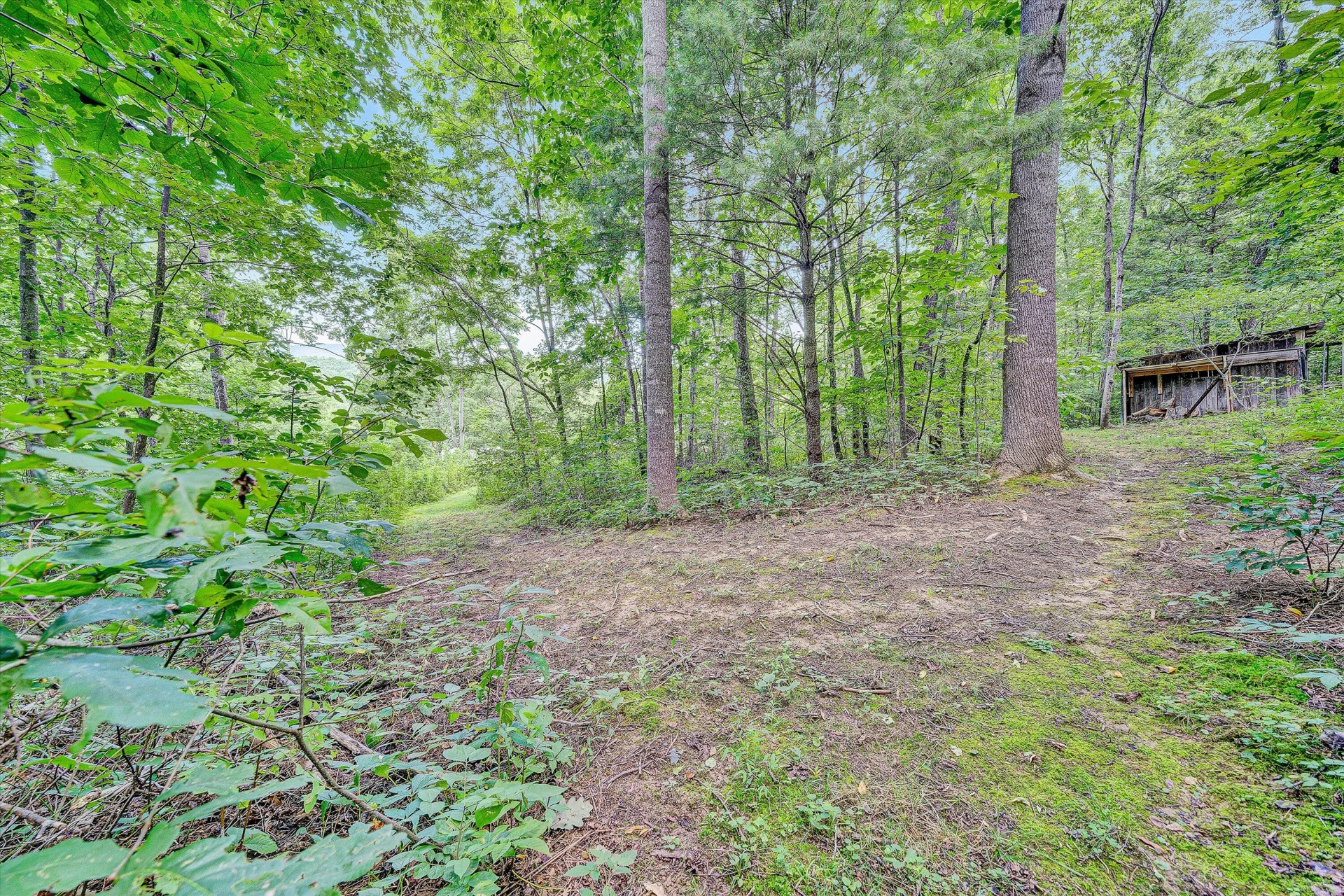 12931 Catawba RD - Photo 60