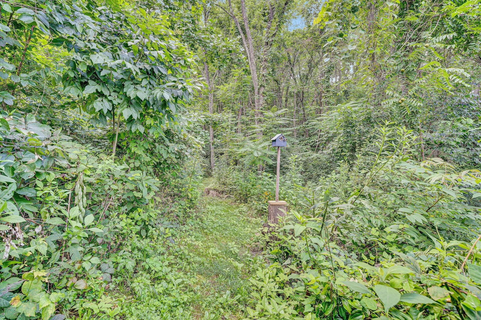 12931 Catawba RD - Photo 61