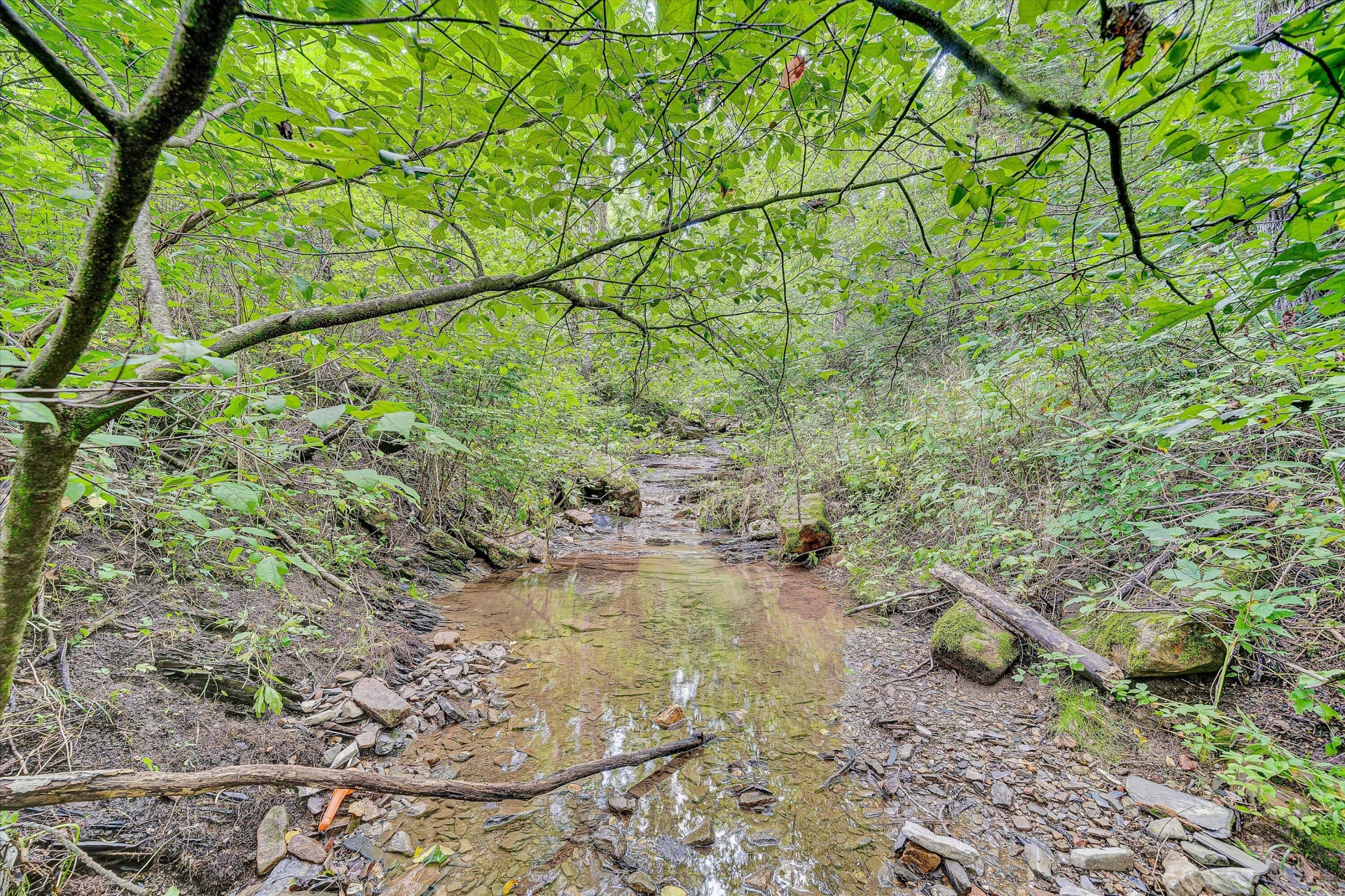 12931 Catawba RD - Photo 64