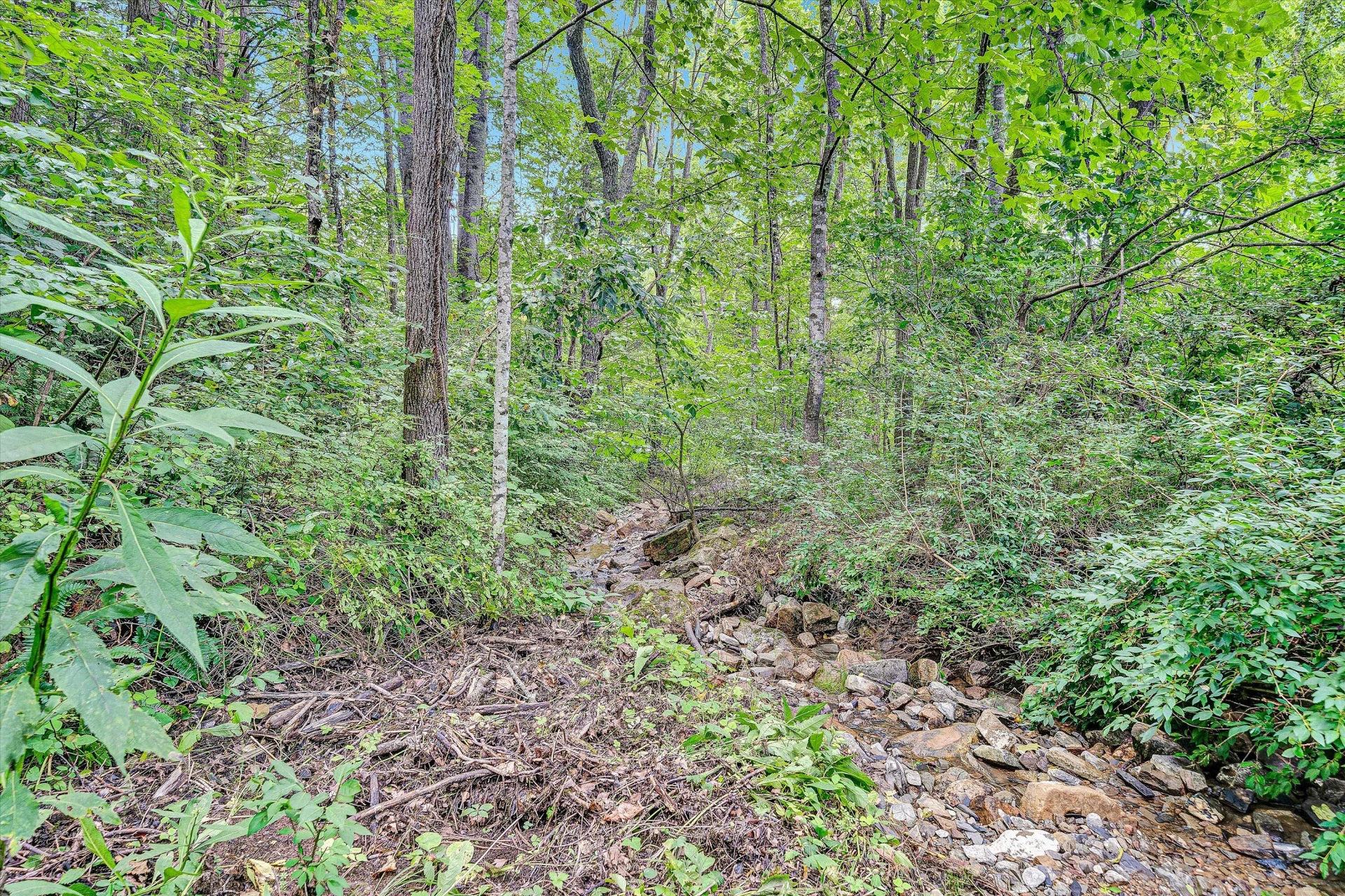 12931 Catawba RD - Photo 65