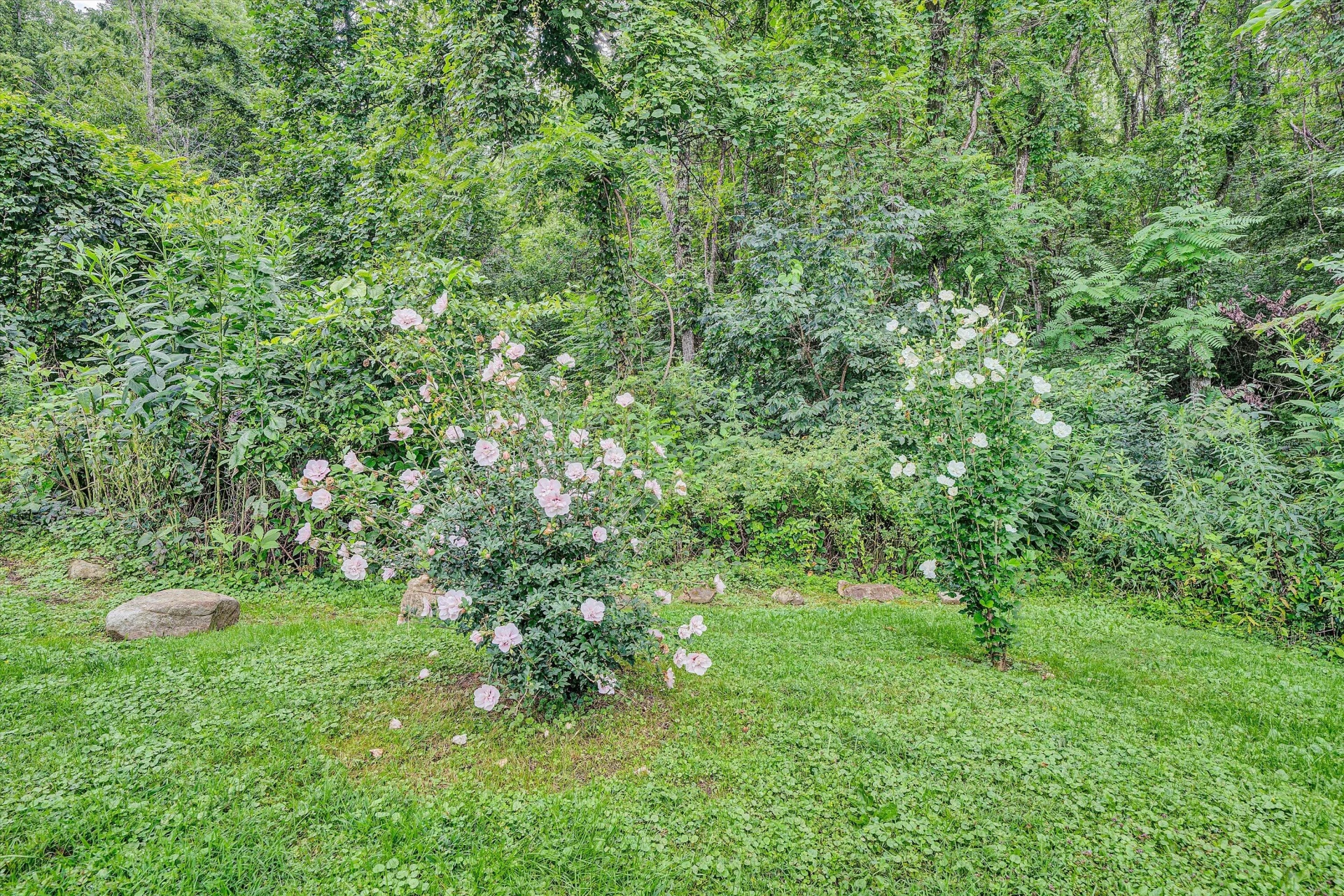 12931 Catawba RD - Photo 66