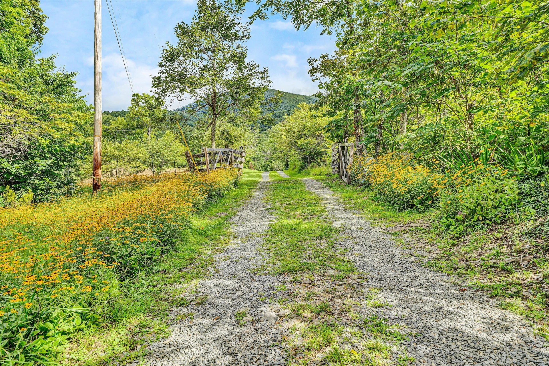 12931 Catawba RD - Photo 83