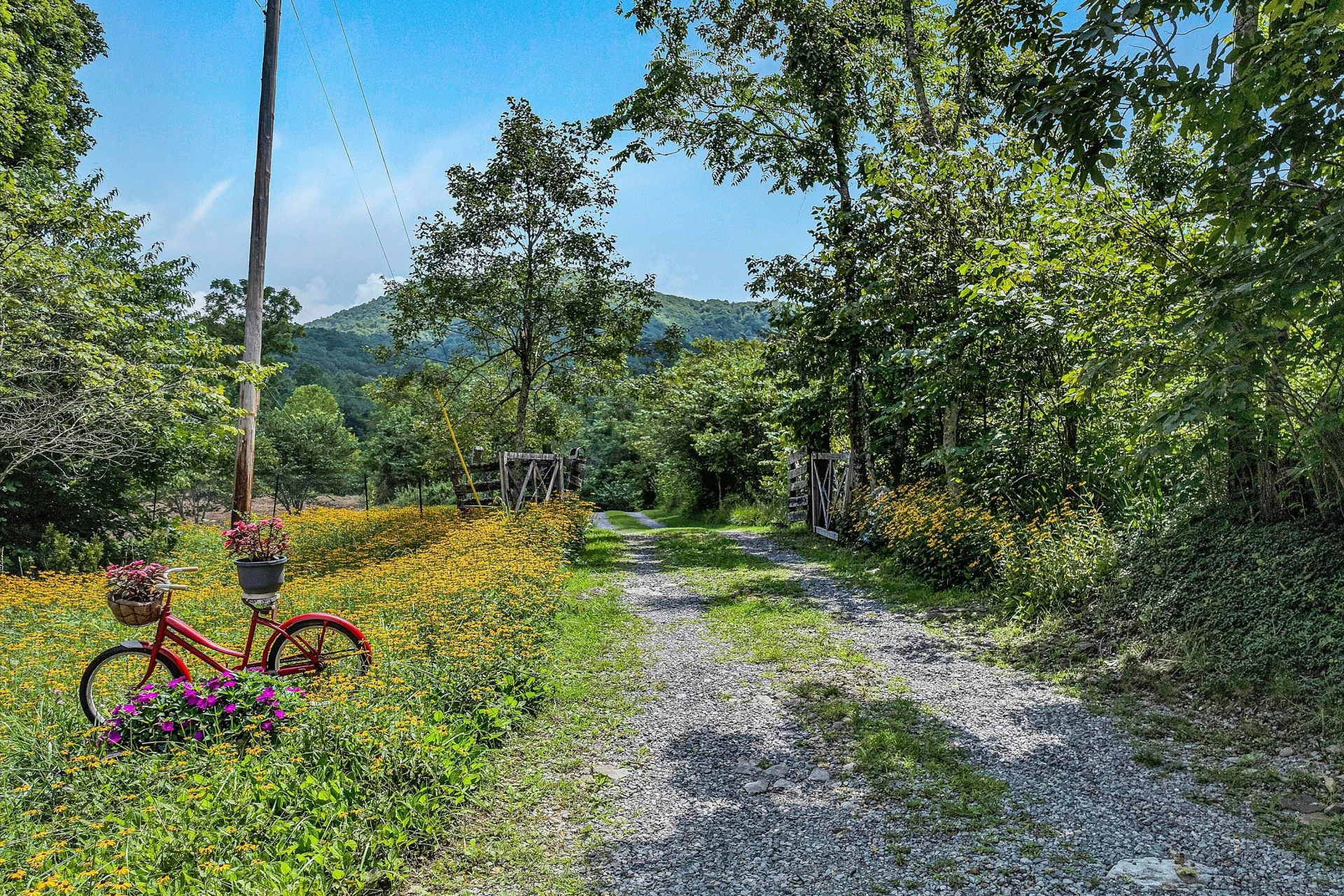 12931 Catawba RD - Photo 85