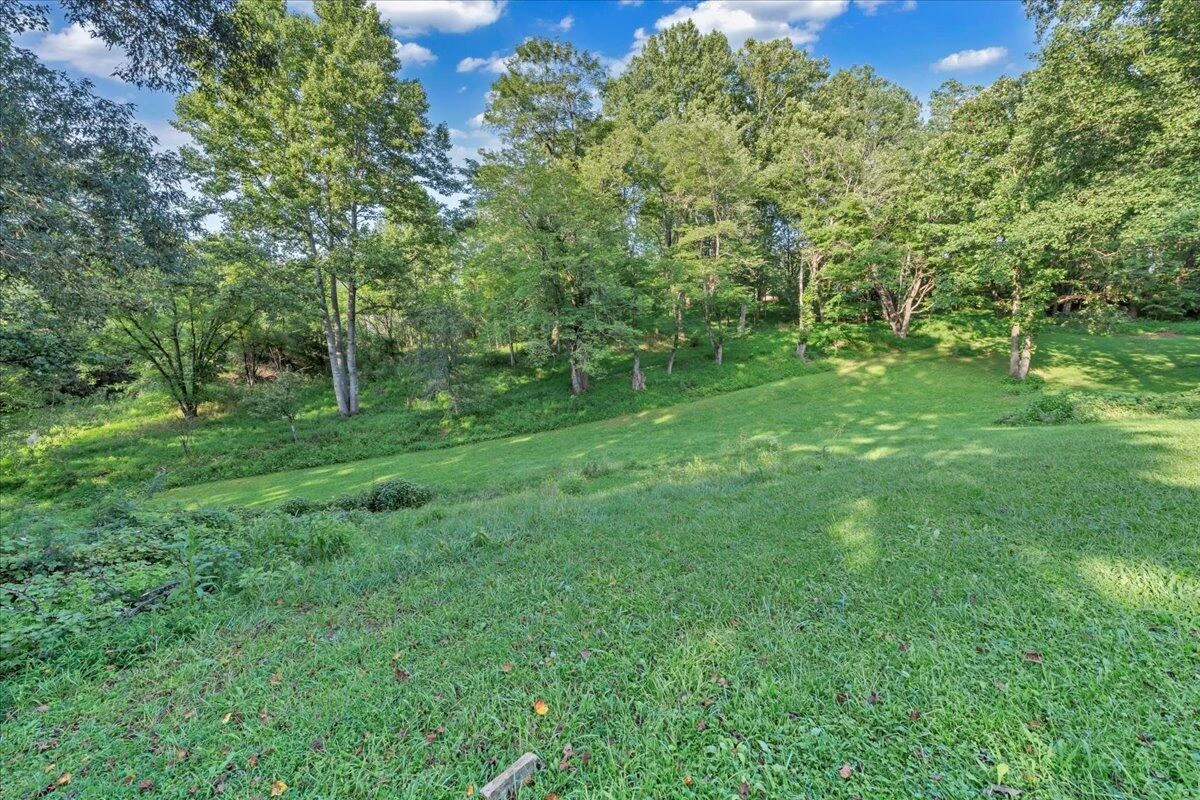 427 Farmington RD - Photo 53