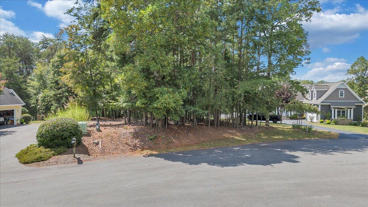 Lot 45 Farmers CIR - Photo 3