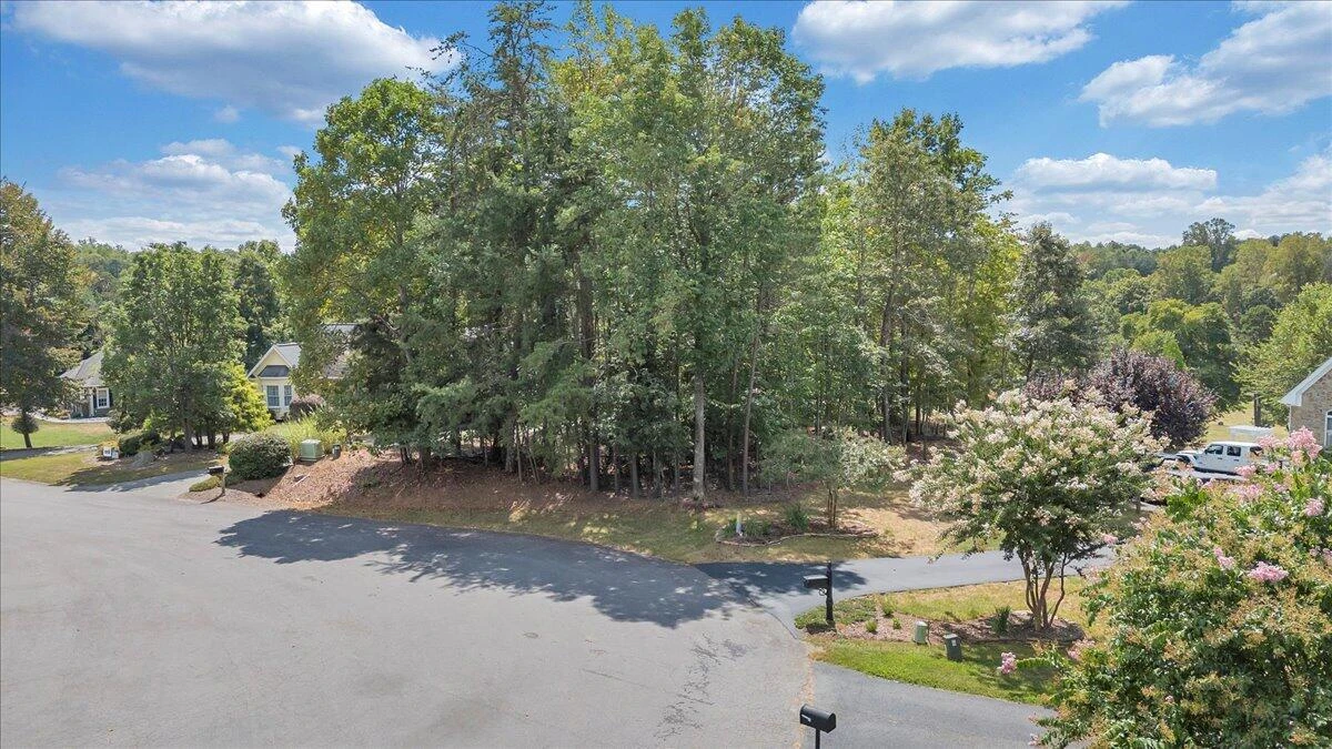 Lot 45 Farmers CIR - Photo 4