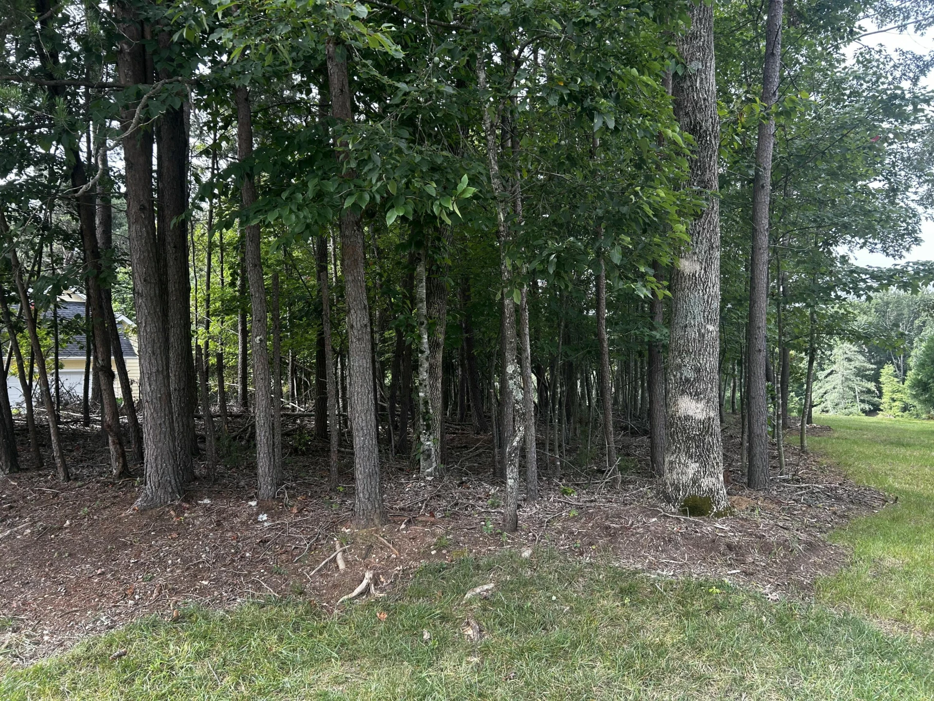 Lot 45 Farmers CIR - Photo 25