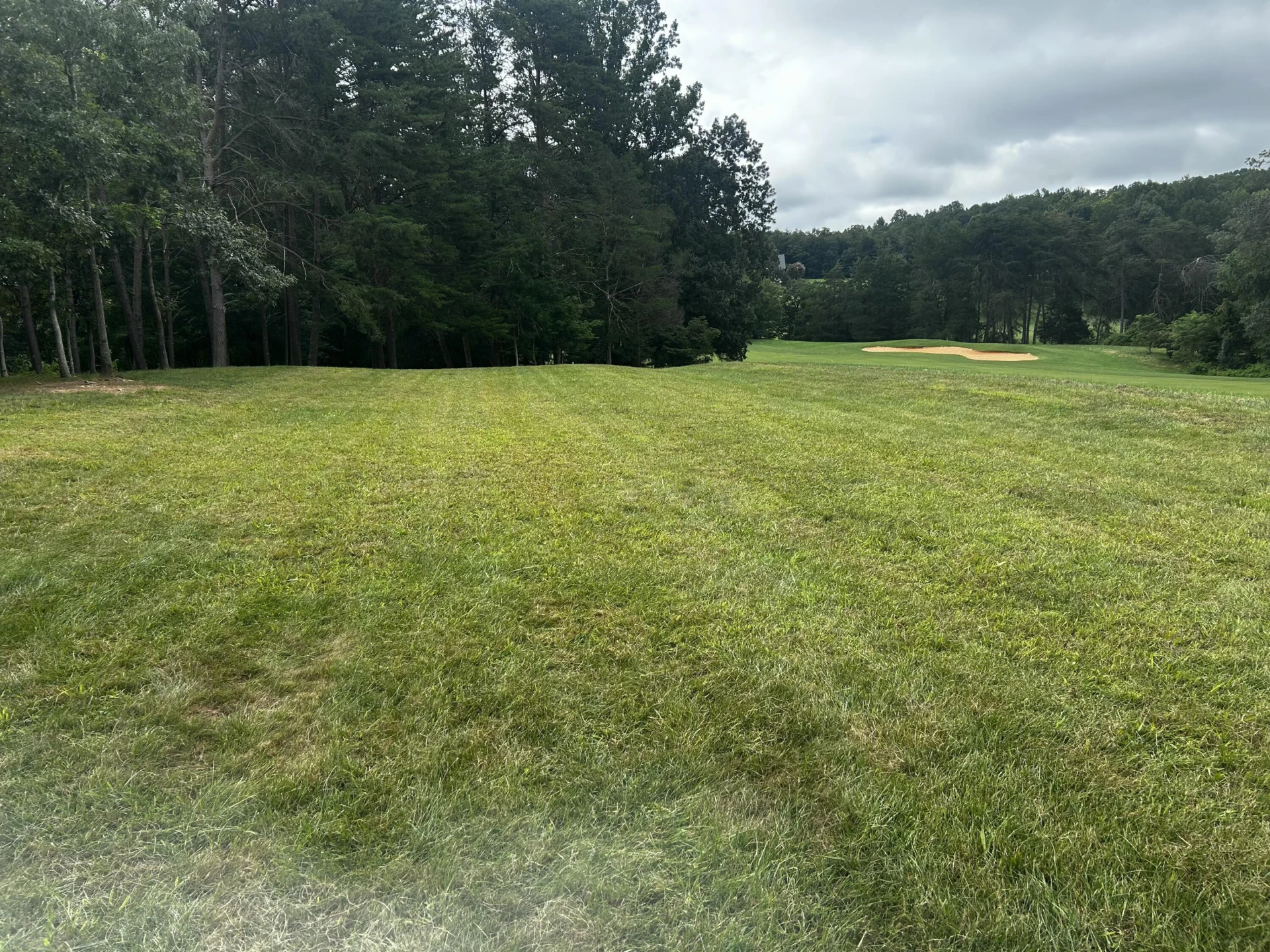 Lot 45 Farmers CIR - Photo 27