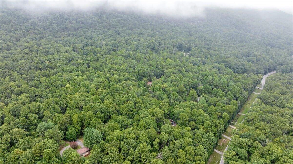 6733 Bradshaw RD - Photo 52