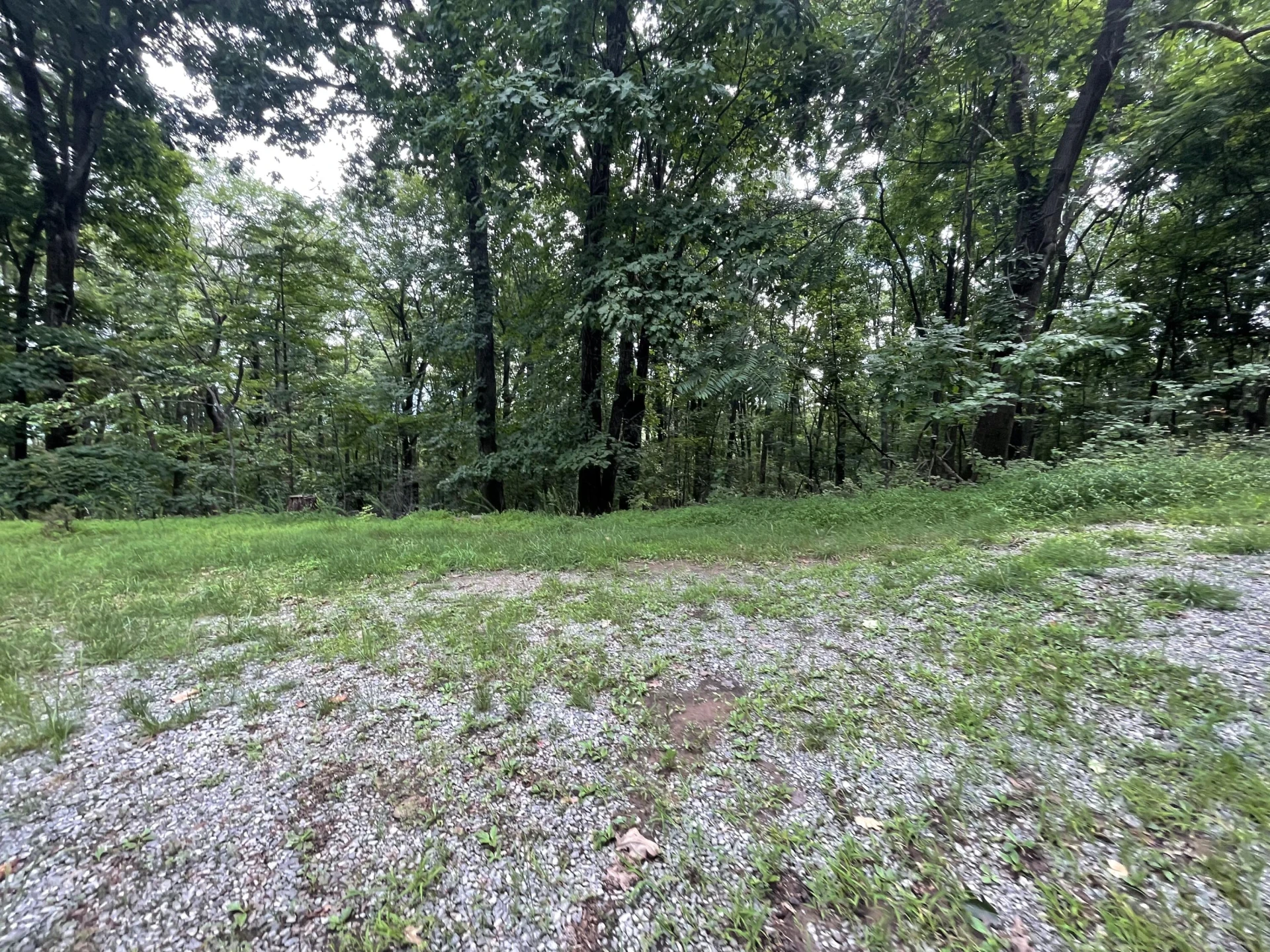 311 Willowridge DR - Photo 10