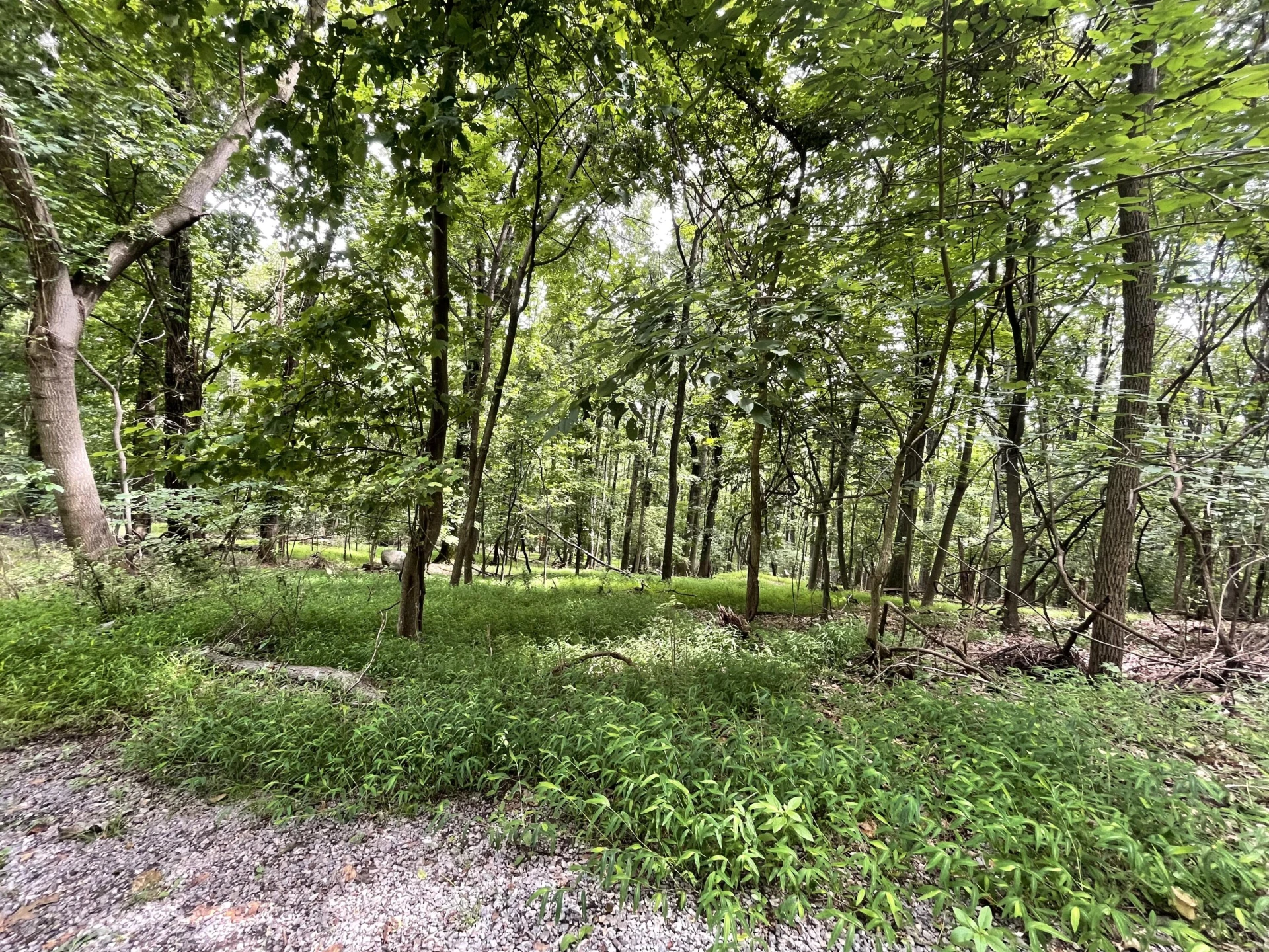 311 Willowridge DR - Photo 16