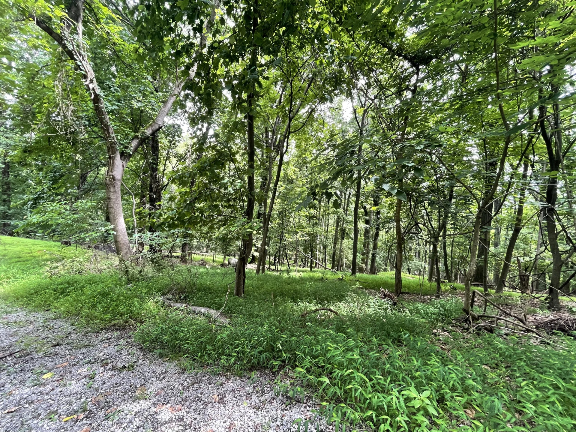 311 Willowridge DR - Photo 17