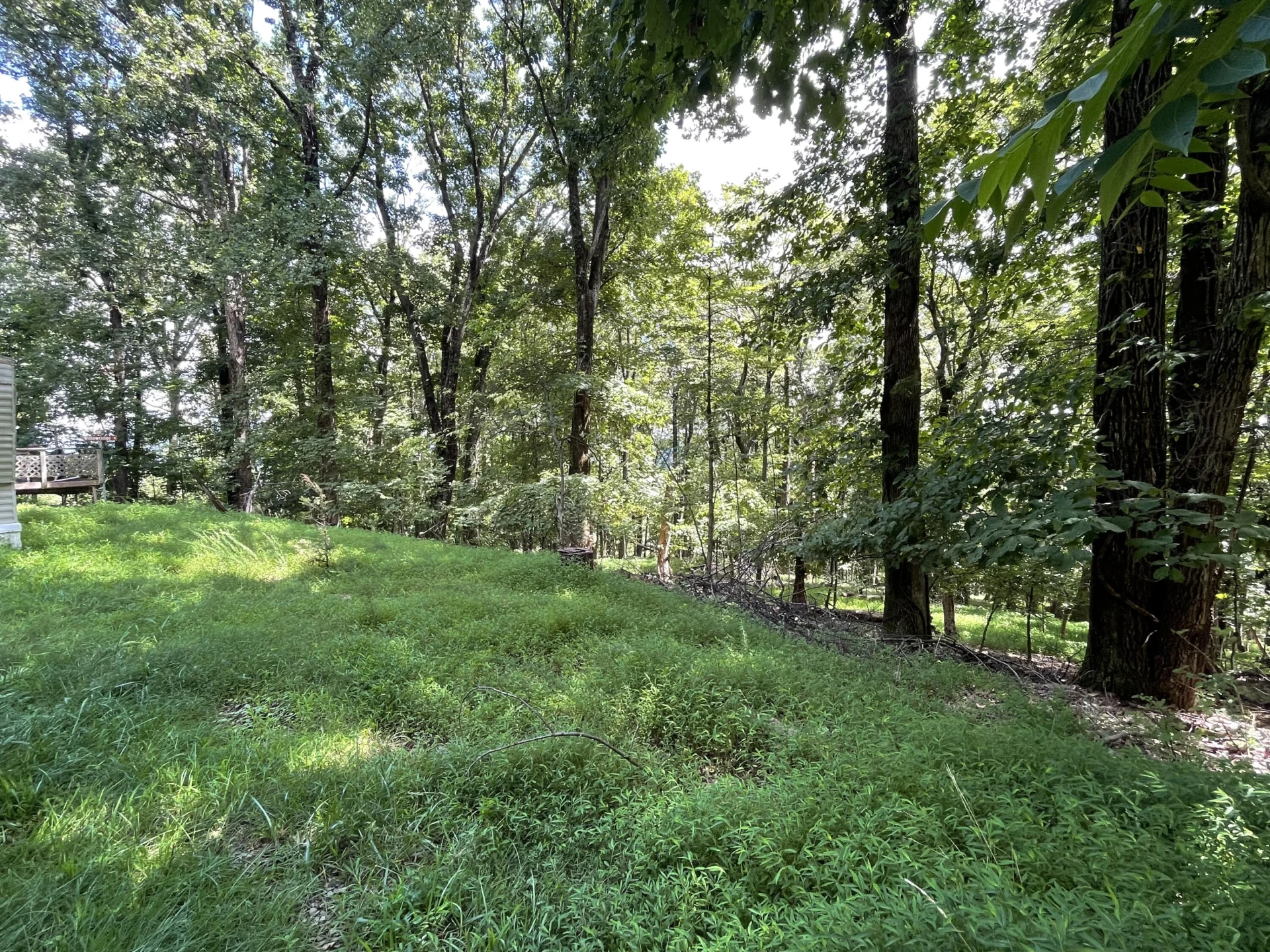 311 Willowridge DR - Photo 6