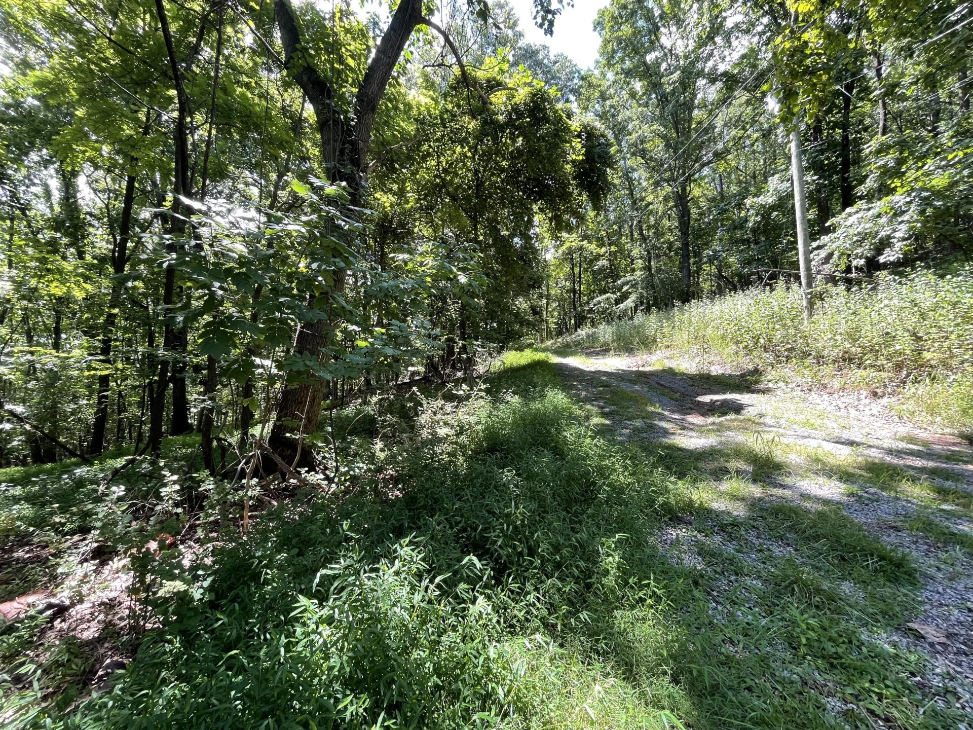 311 Willowridge DR - Photo 8