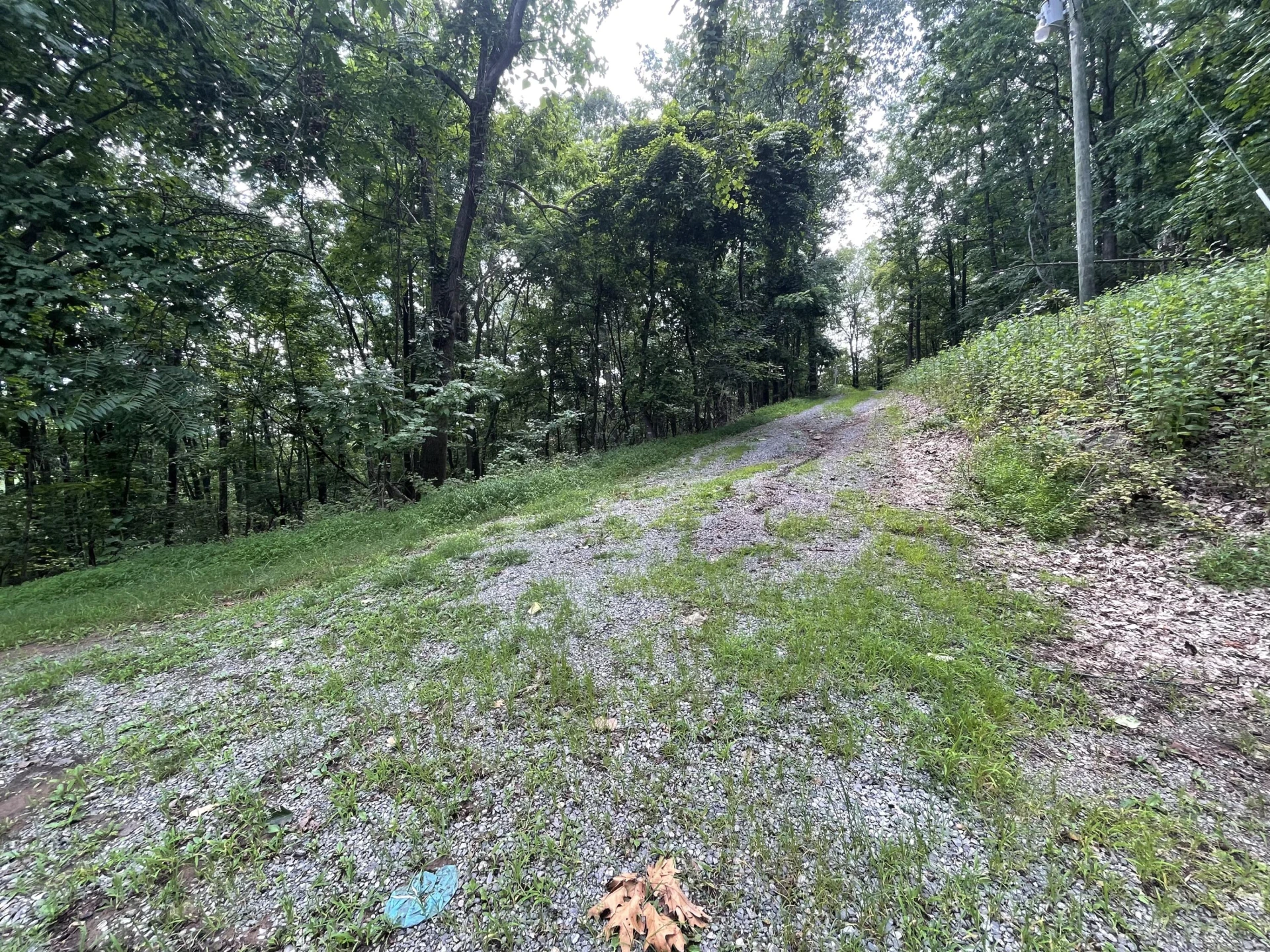311 Willowridge DR - Photo 9