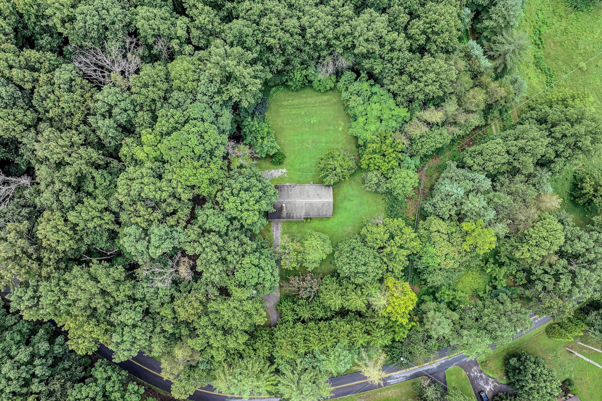 4463 Nemmo RD - Photo 32