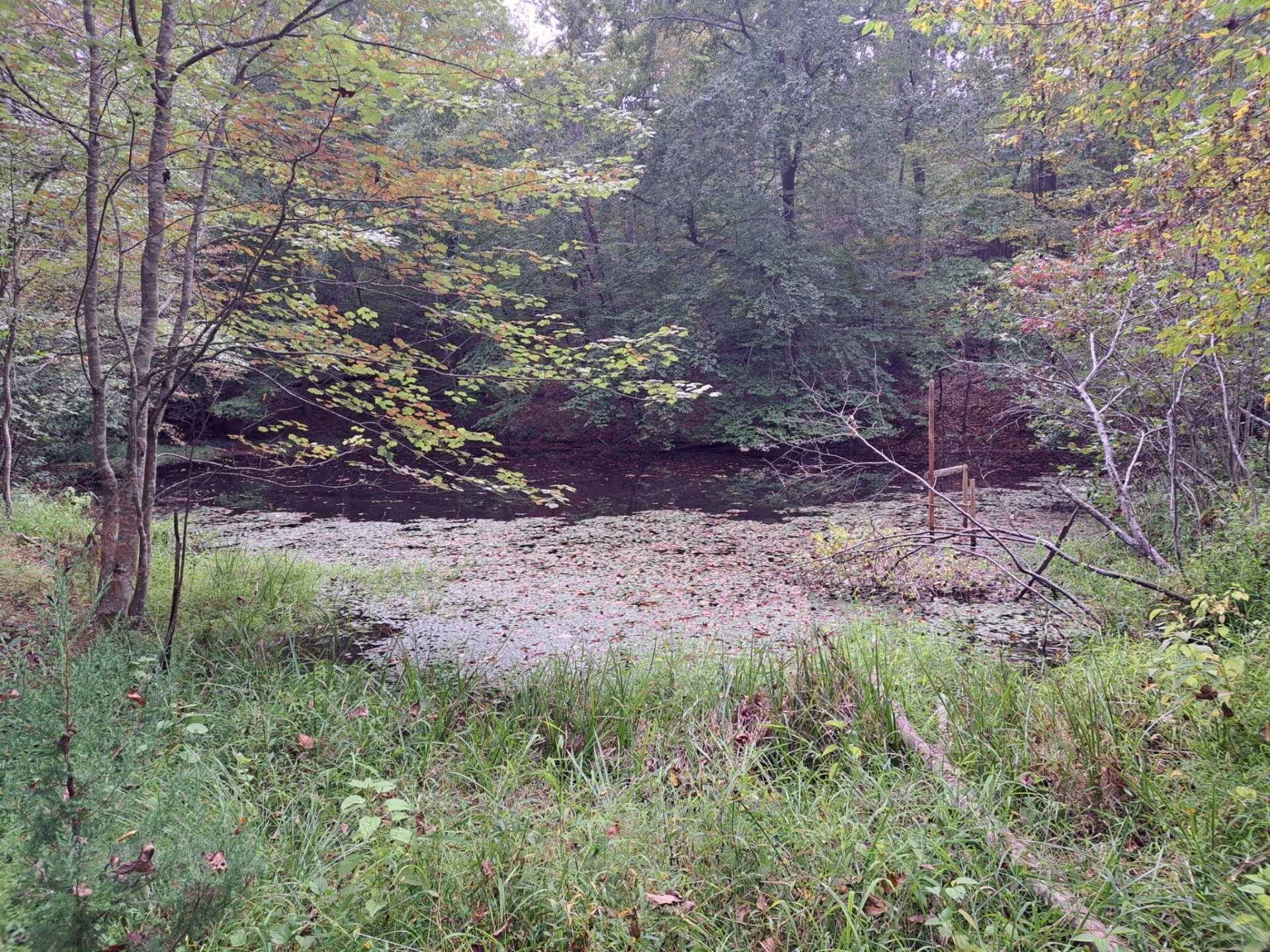 4463 Nemmo RD - Photo 34