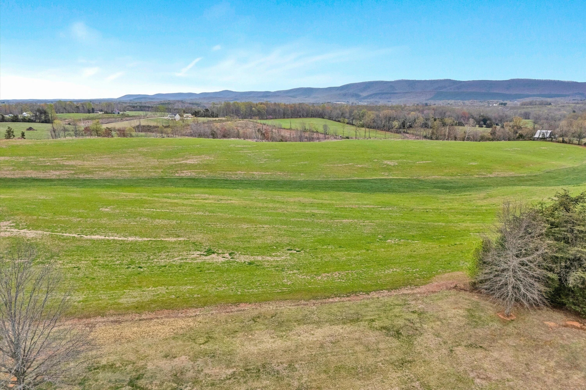 10131 SONTAG RD - Photo 36