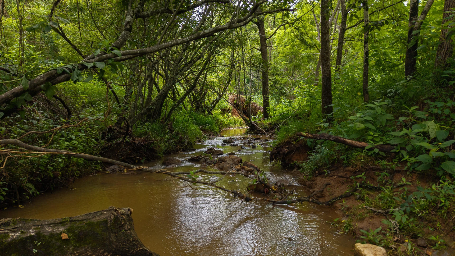 TBD Stewartsville RD - Photo 24