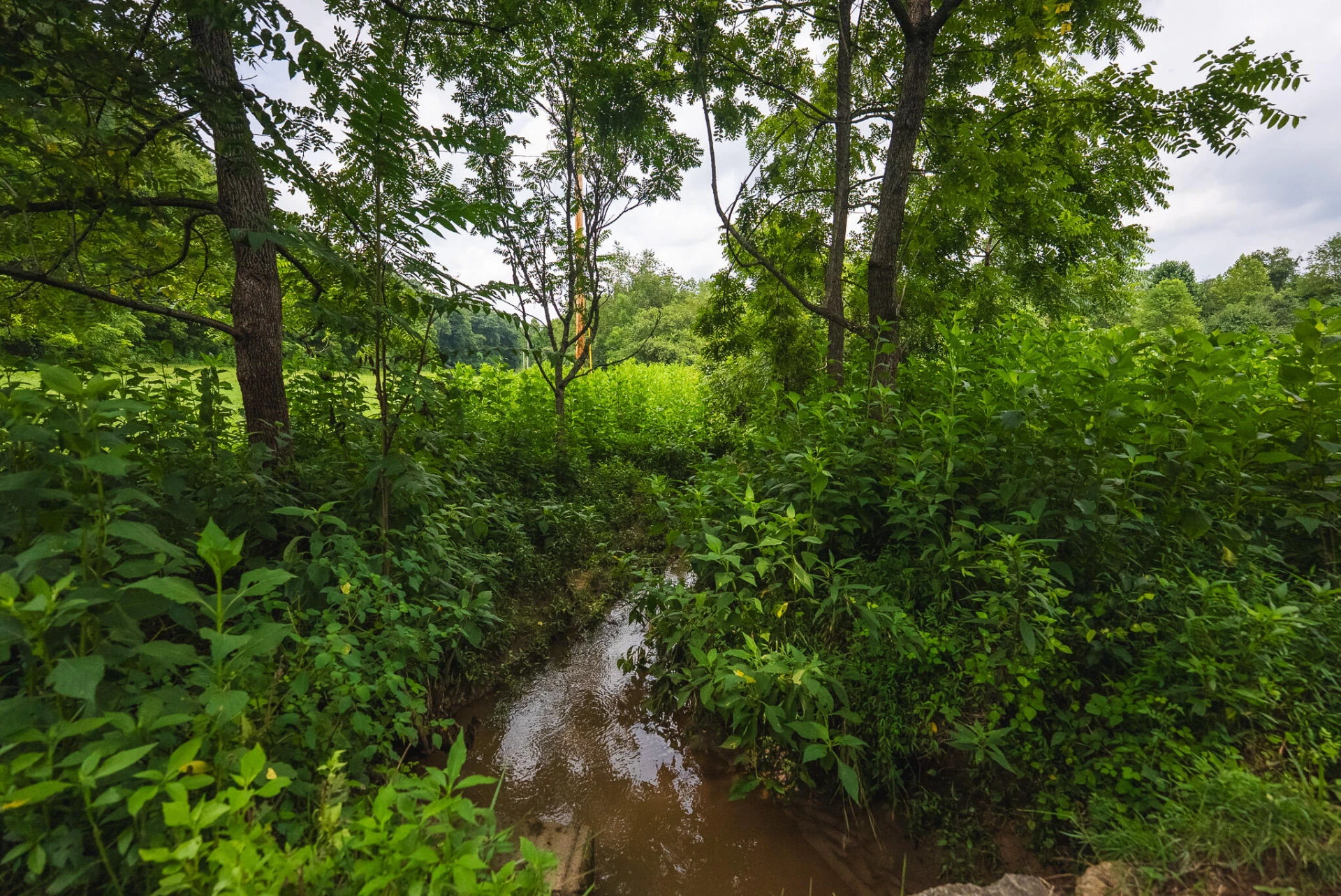 TBD Stewartsville RD - Photo 26