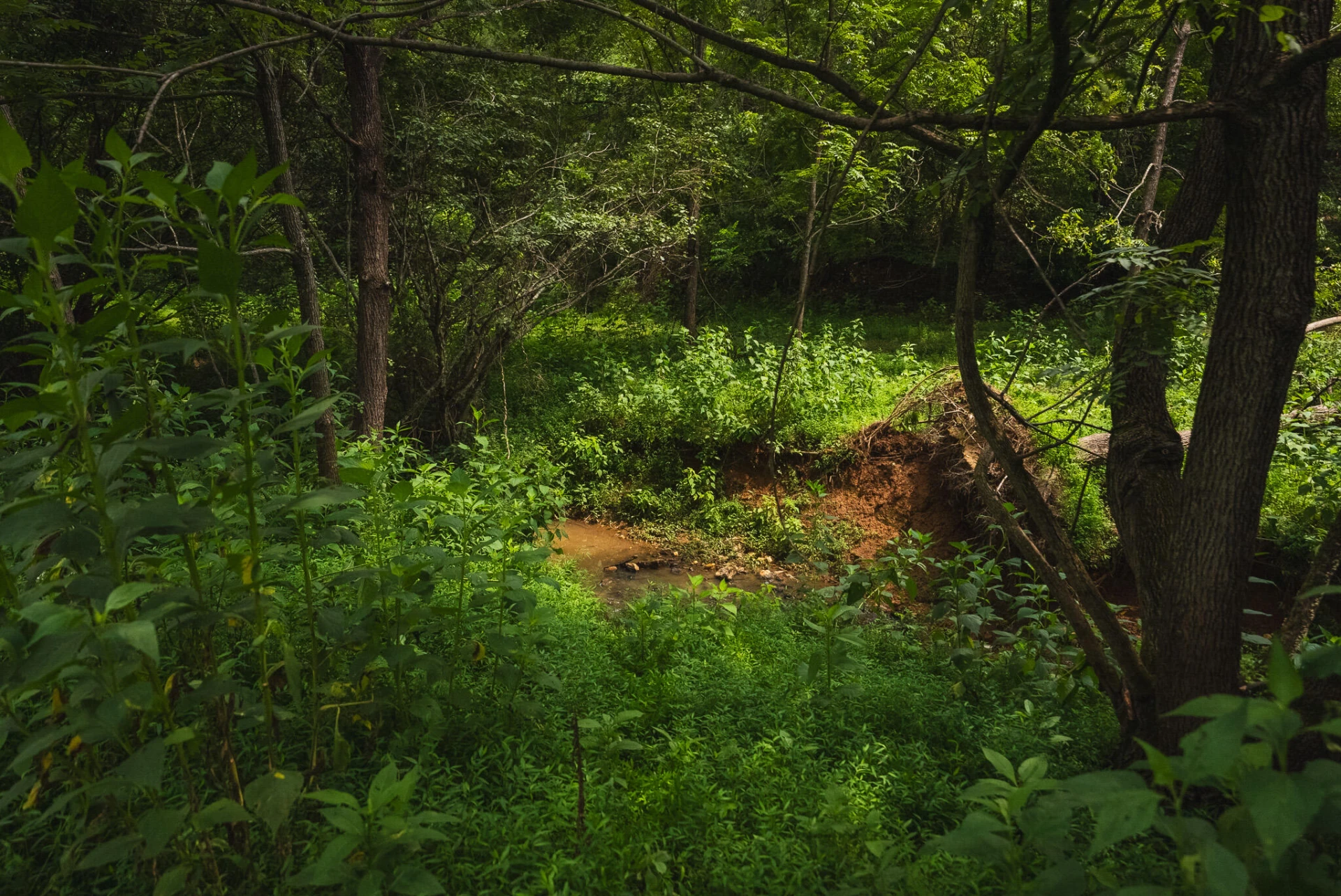 TBD Stewartsville RD - Photo 27