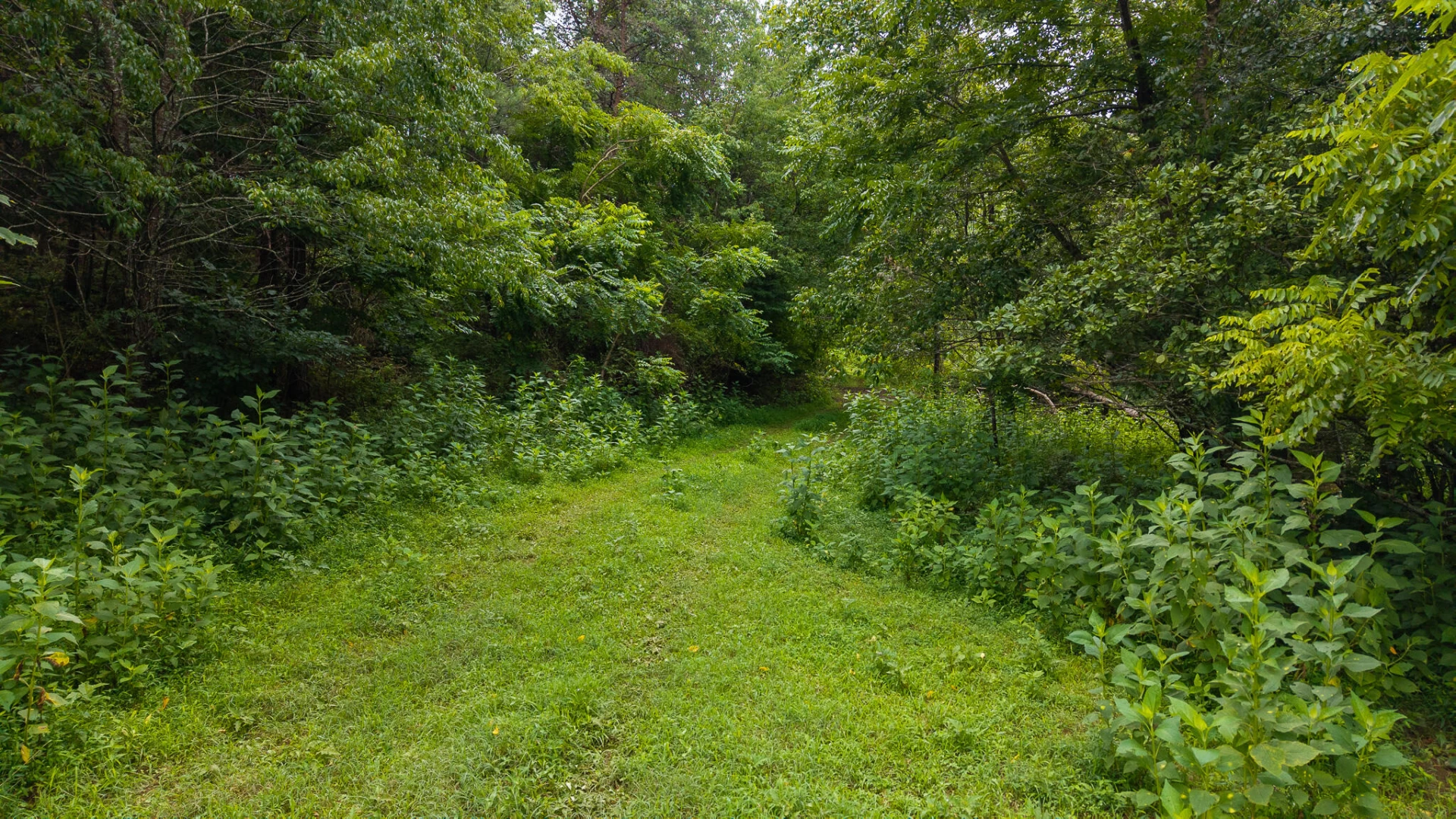 TBD Stewartsville RD - Photo 33