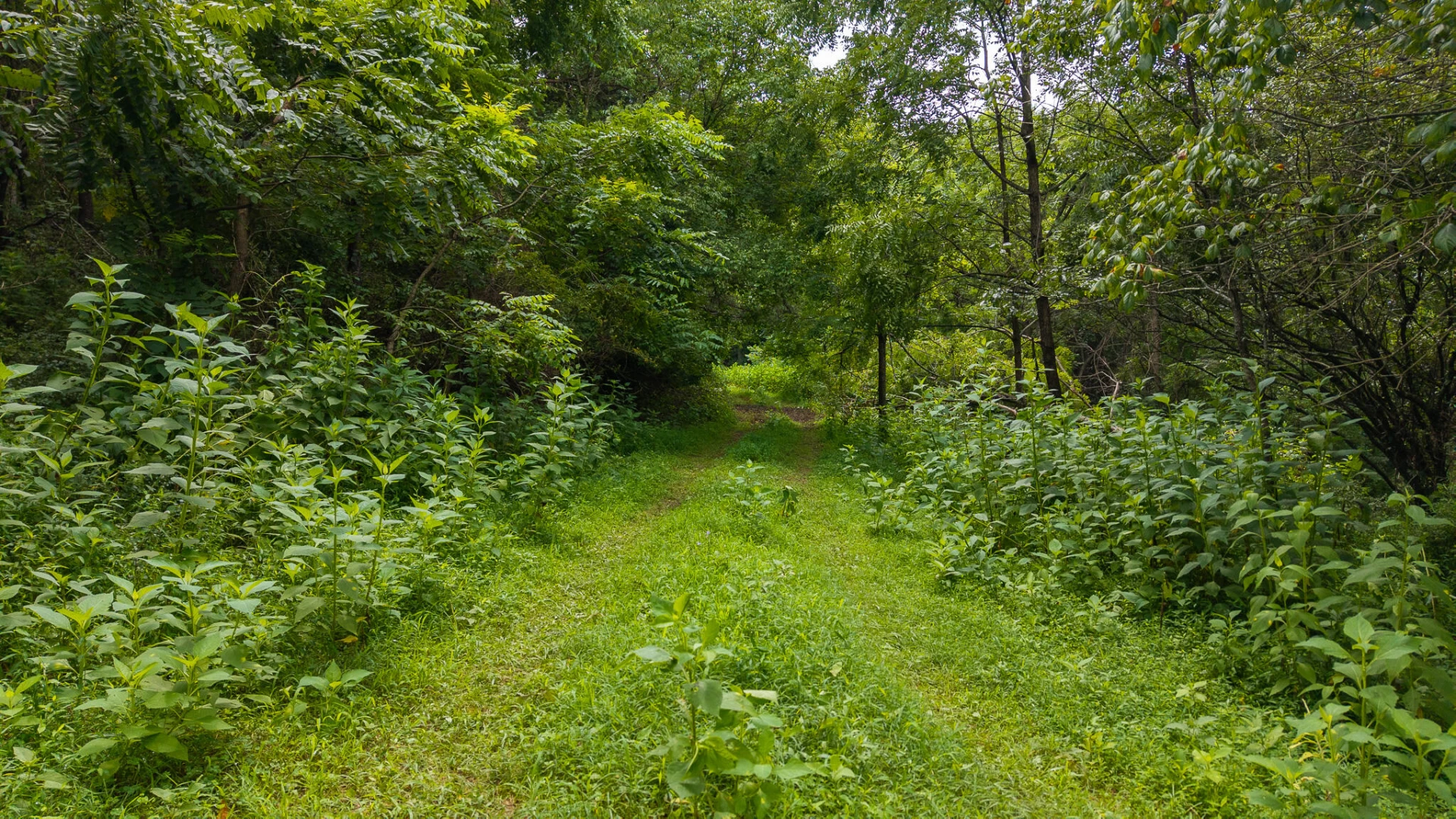 TBD Stewartsville RD - Photo 34