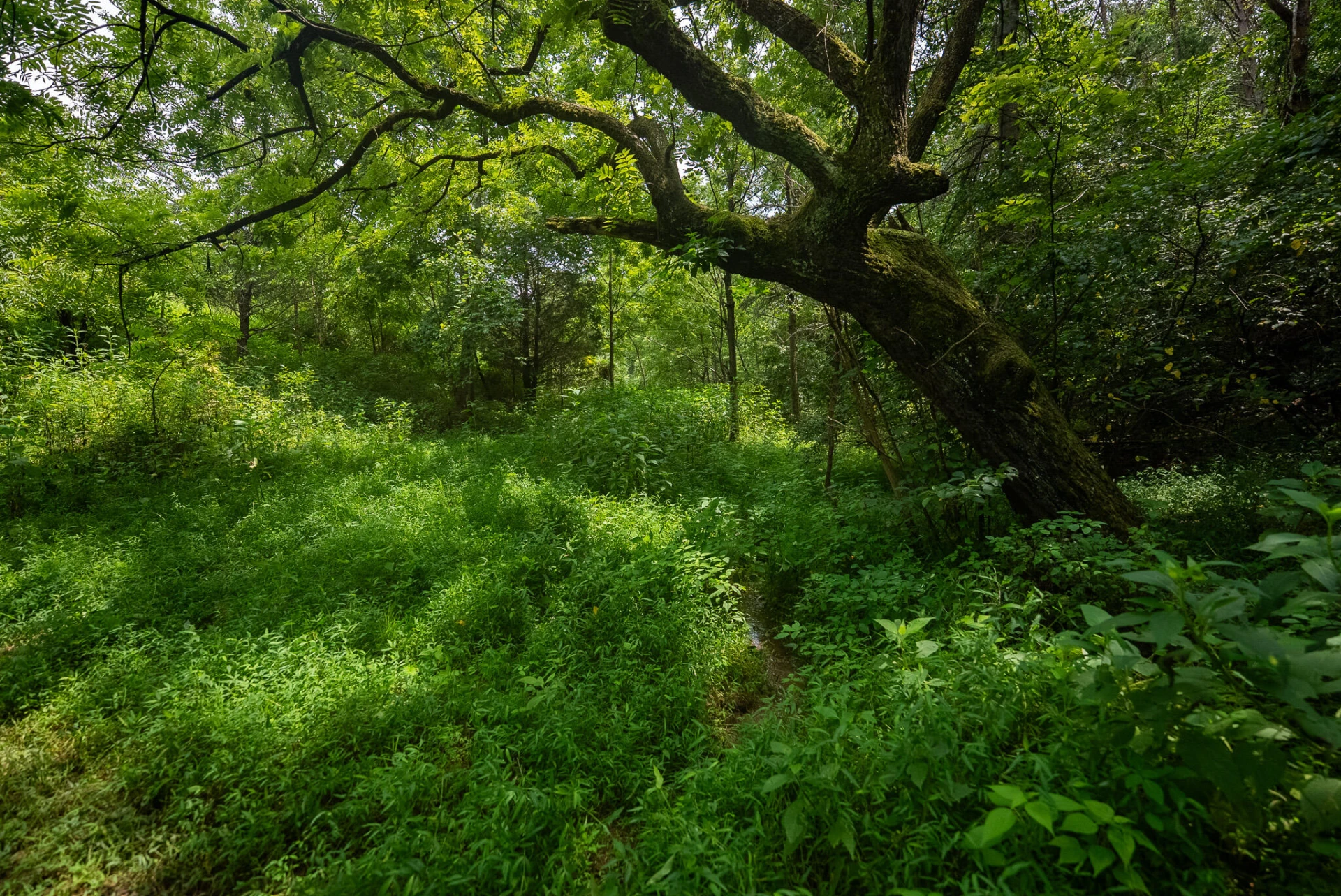 TBD Stewartsville RD - Photo 38