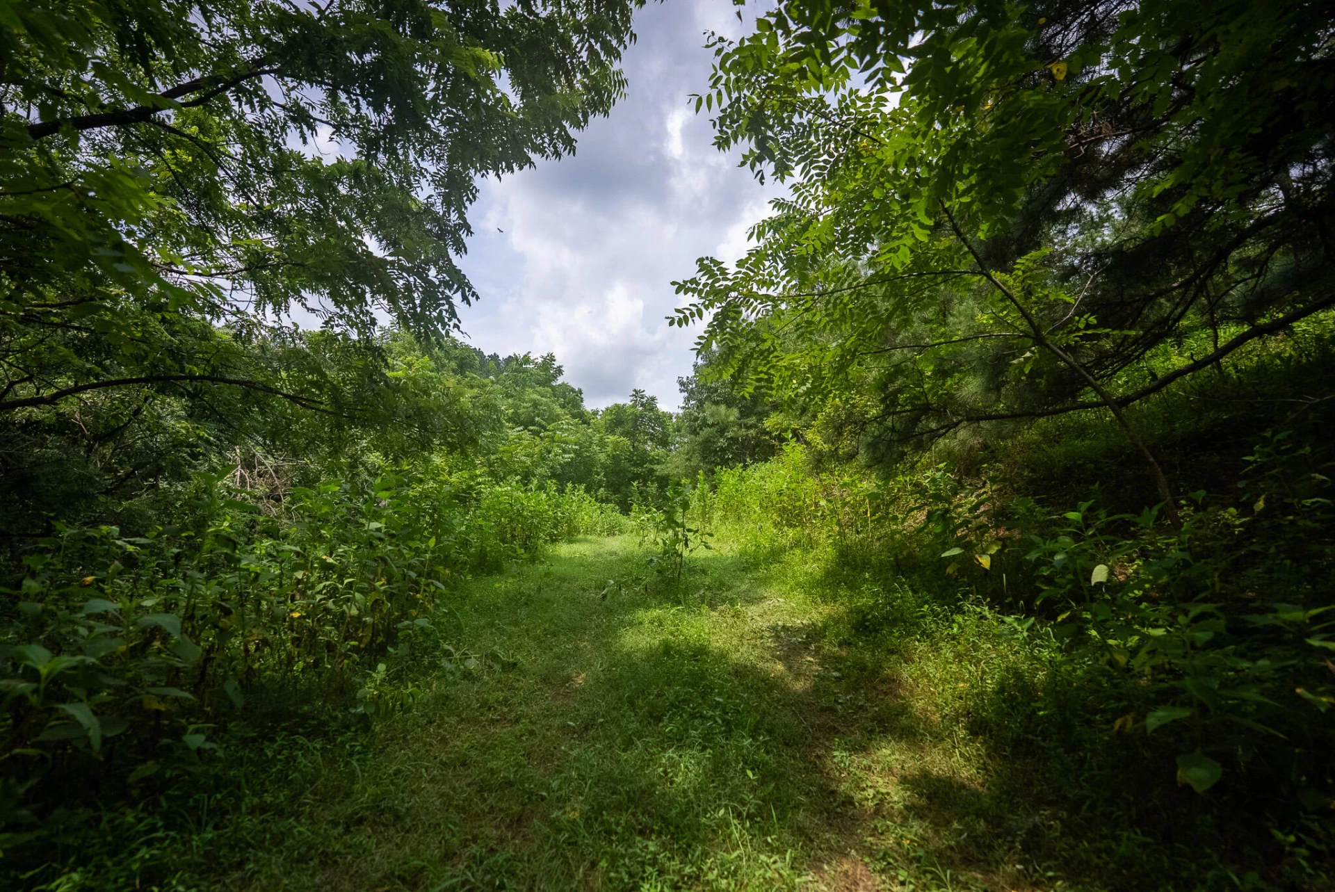 TBD Stewartsville RD - Photo 39
