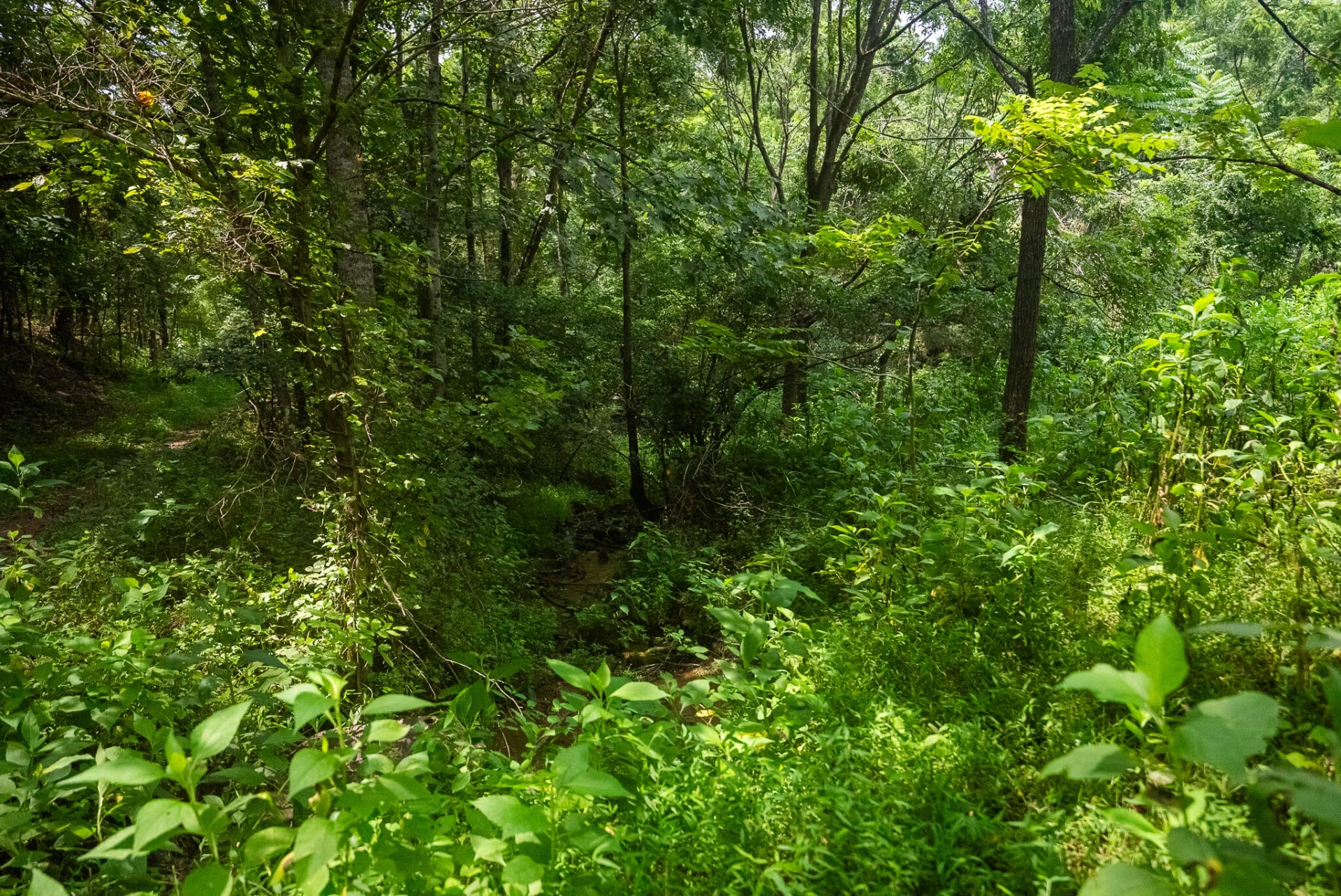 TBD Stewartsville RD - Photo 40