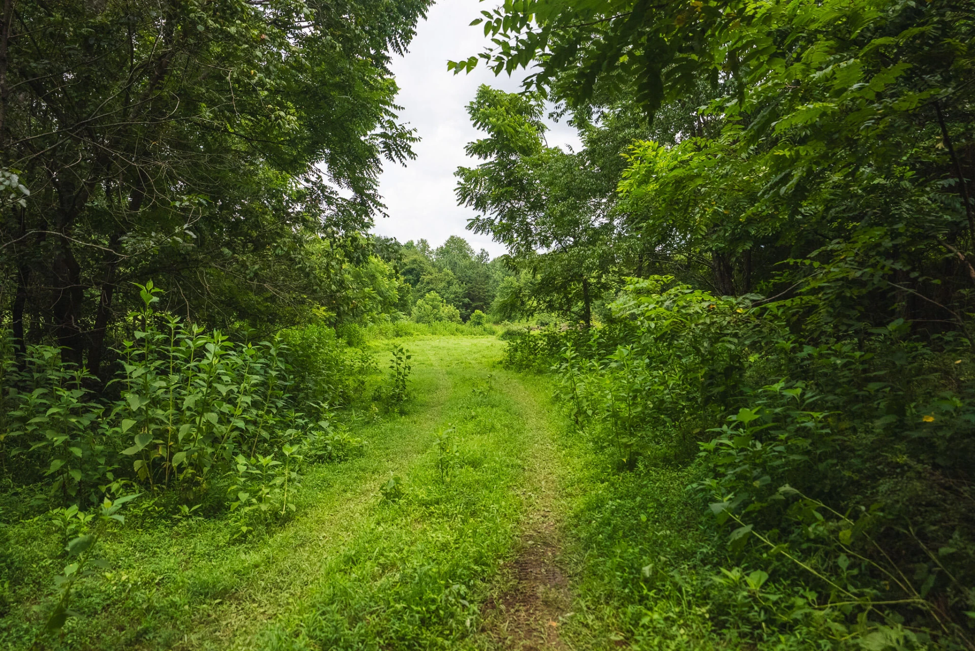 TBD Stewartsville RD - Photo 41