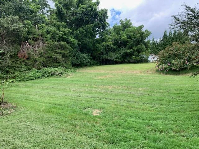 100 Hatcher ST - Photo 4