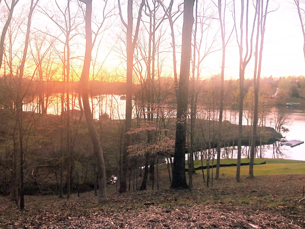 Lot 1 Lakemount DR