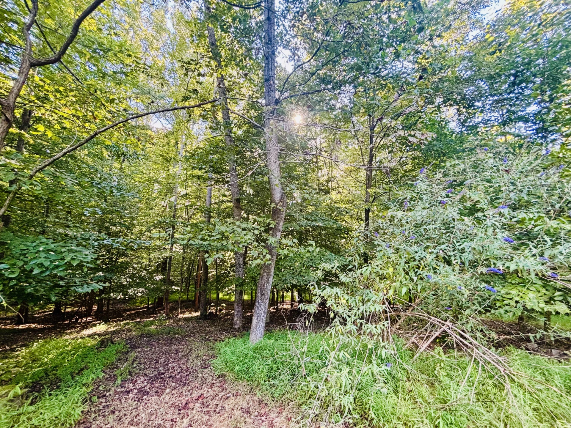 Lot 1 Lakemount DR - Photo 12